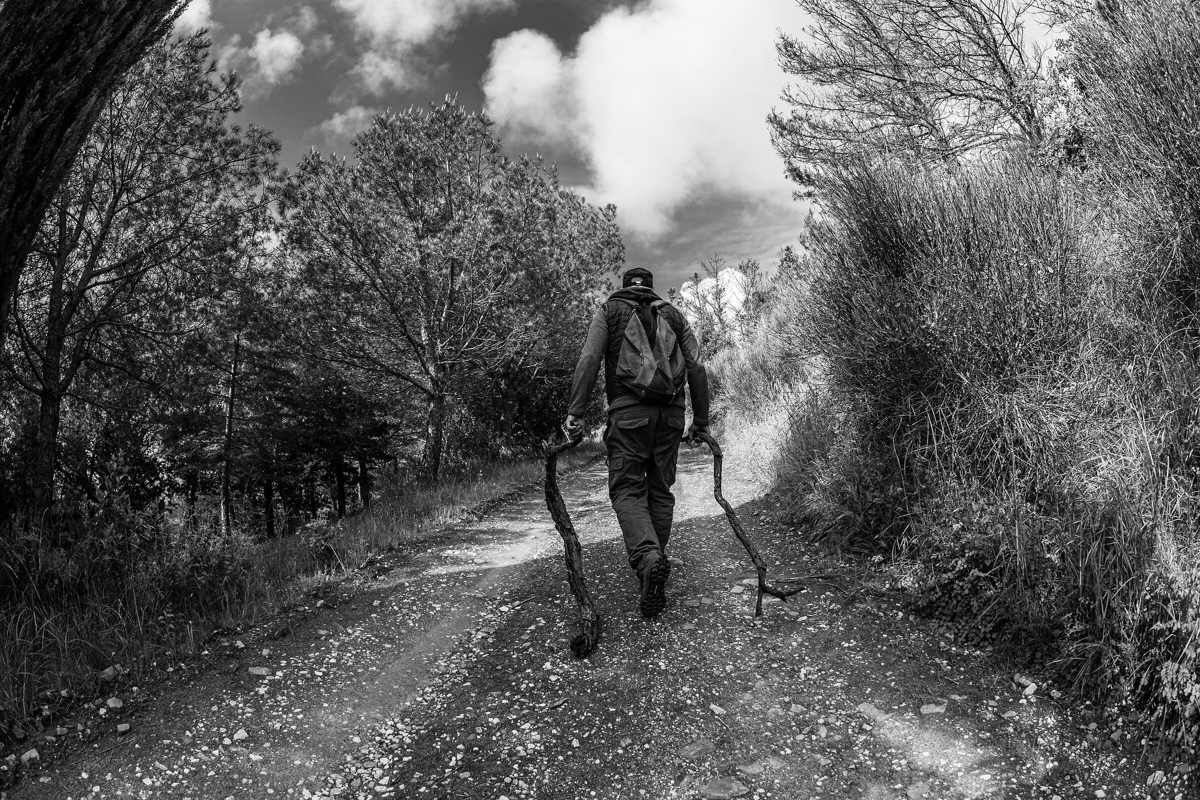 Il viaggio