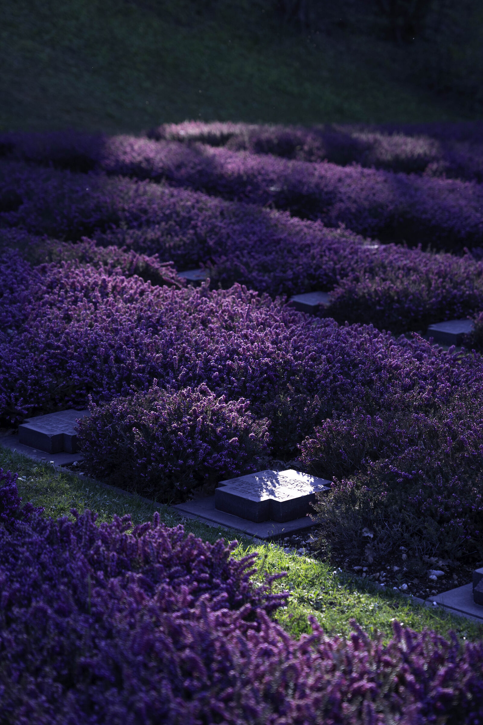 Costermano Cemetery 3