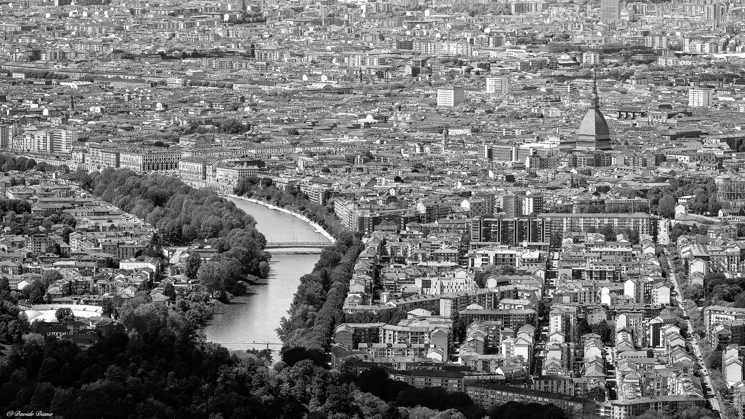 Torino Monochrome