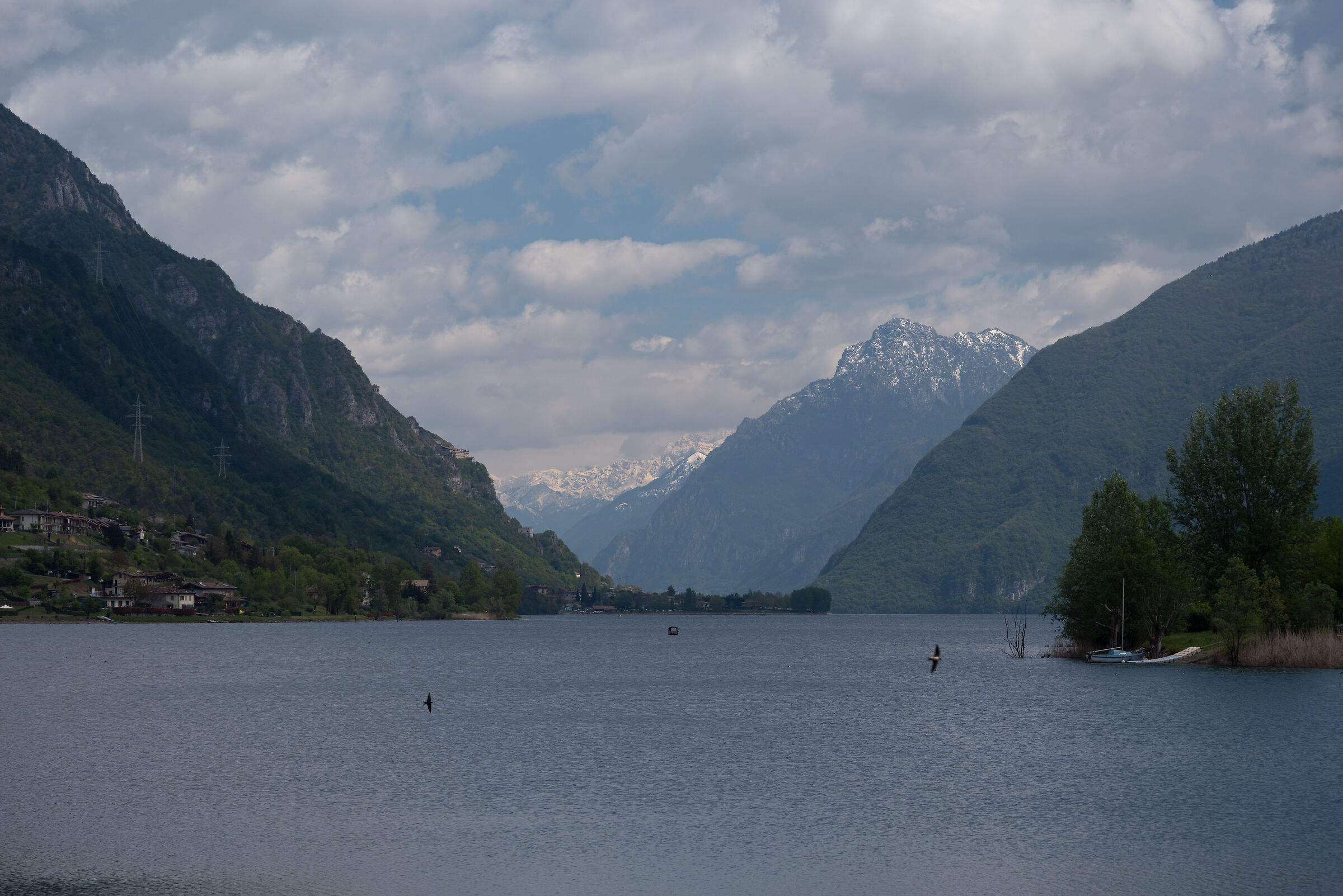 The first swallows on Lake Idro