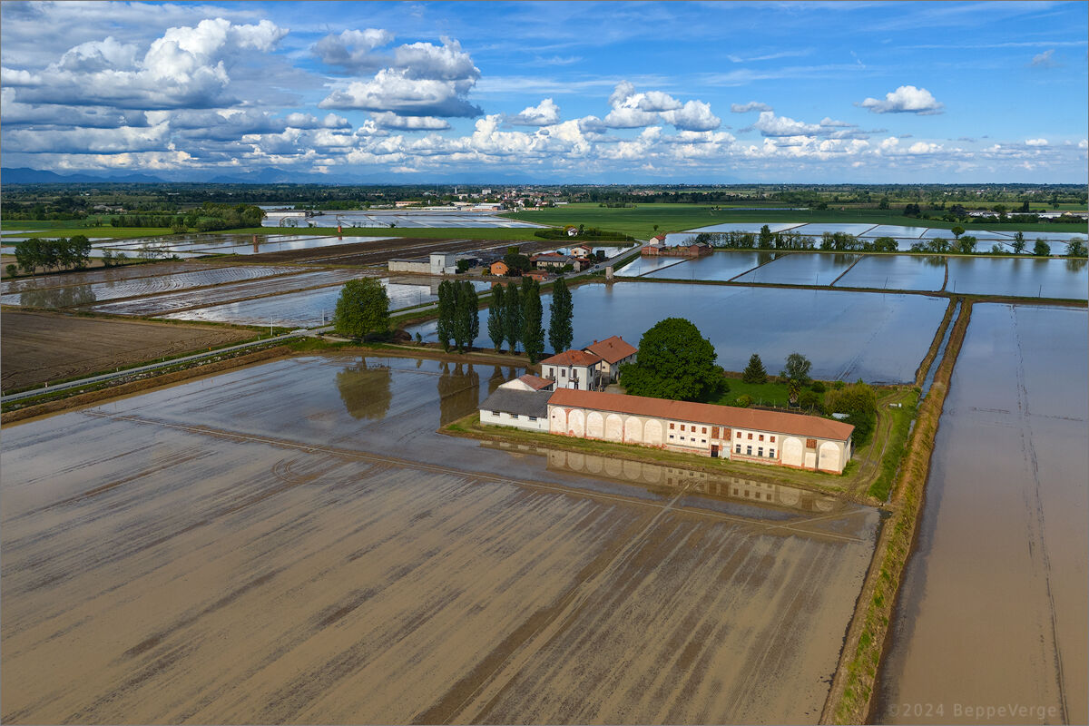 Rice paddies flood
