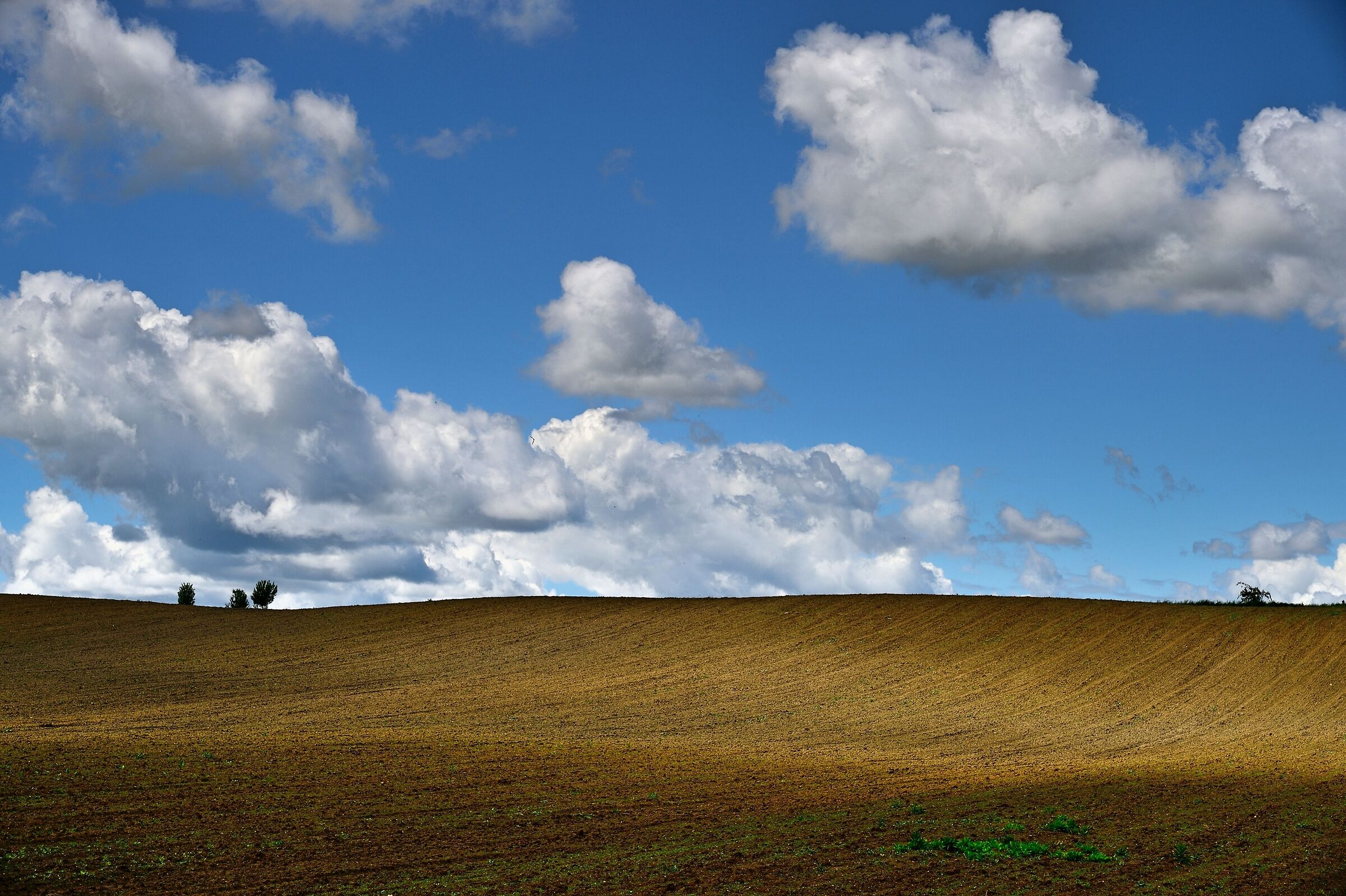 "This hermitage hill was always dear to me....."