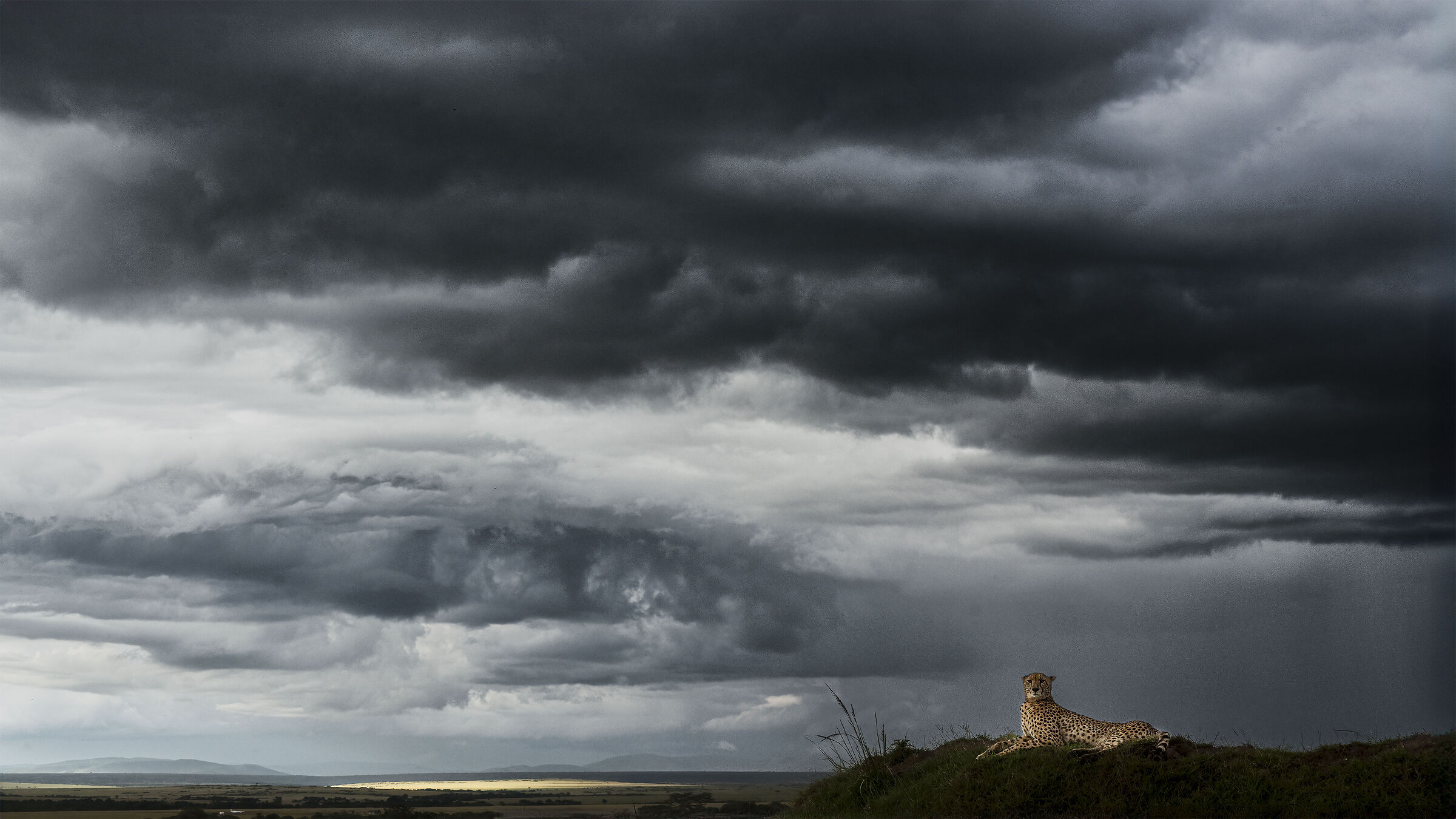 Waiting for the storm