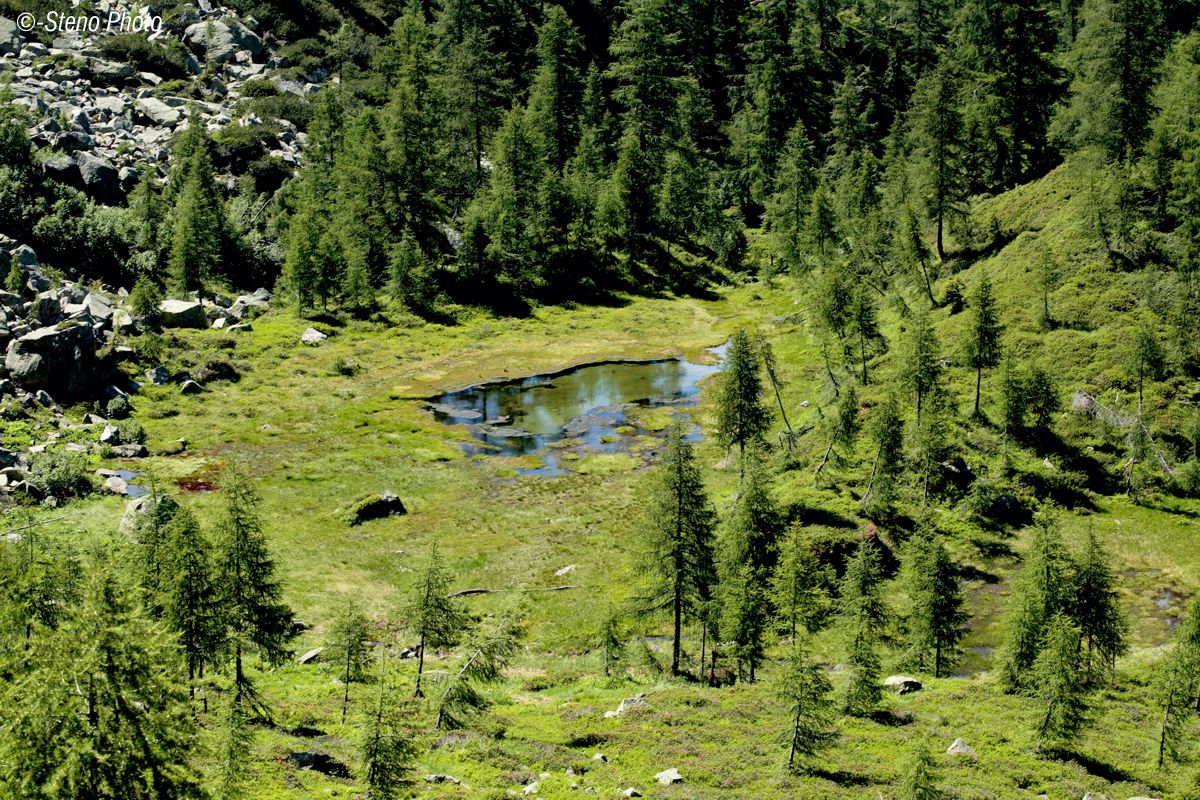 Val Viosa in the late afternoon