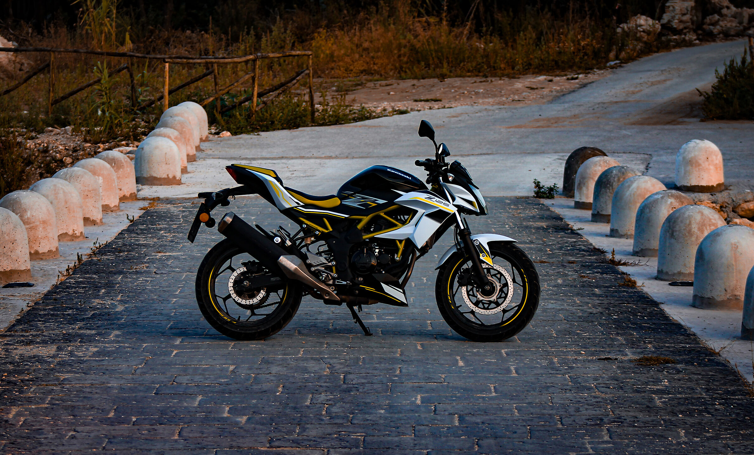 Kawasaki z125 2019 Pantalica