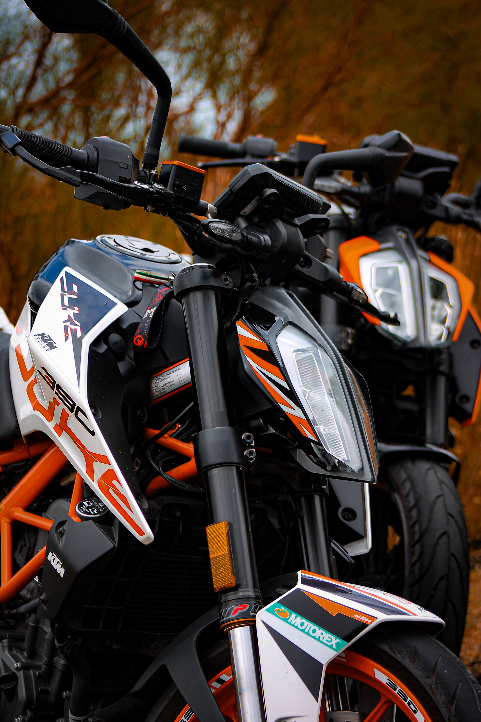 KTM Duke 125 2017 & KTM Duke 390 2017