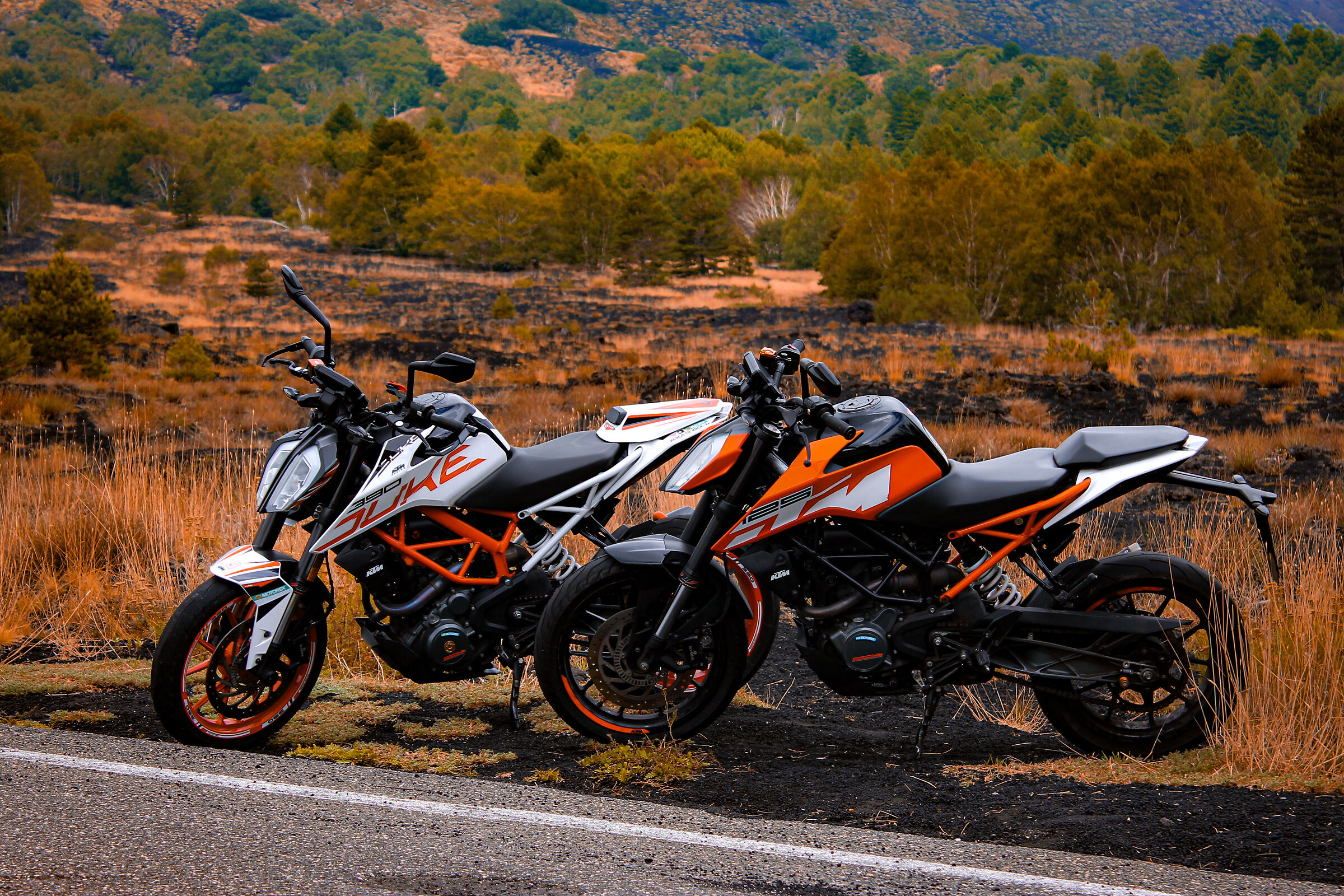 KTM Duke 125 2017 & KTM Duke 390 2017