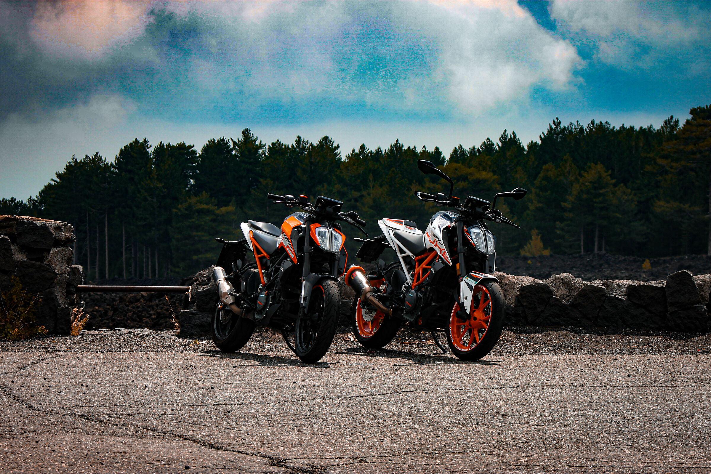 KTM Duke 125 2017 & KTM Duke 390 2017