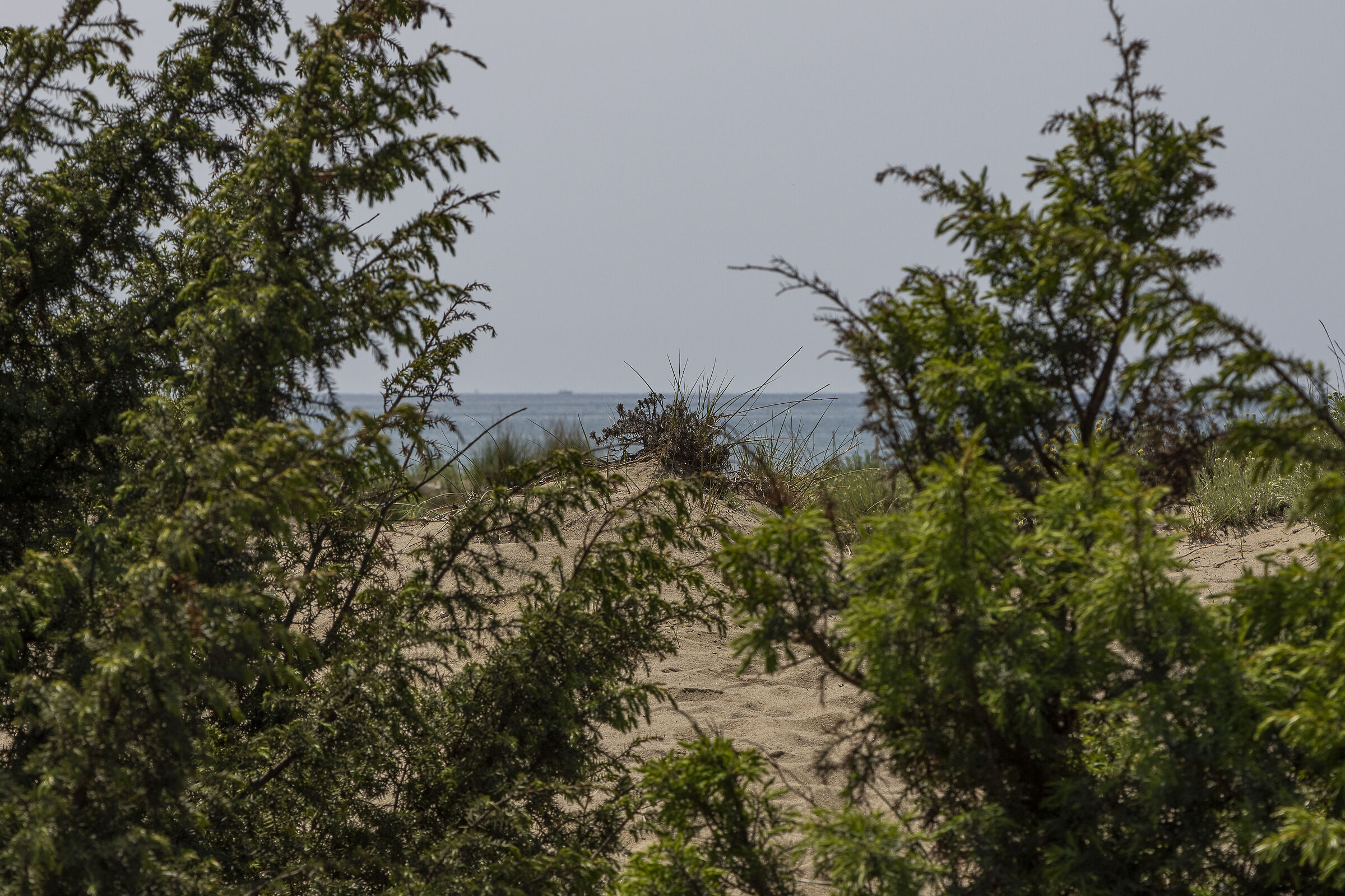 Towards the sea