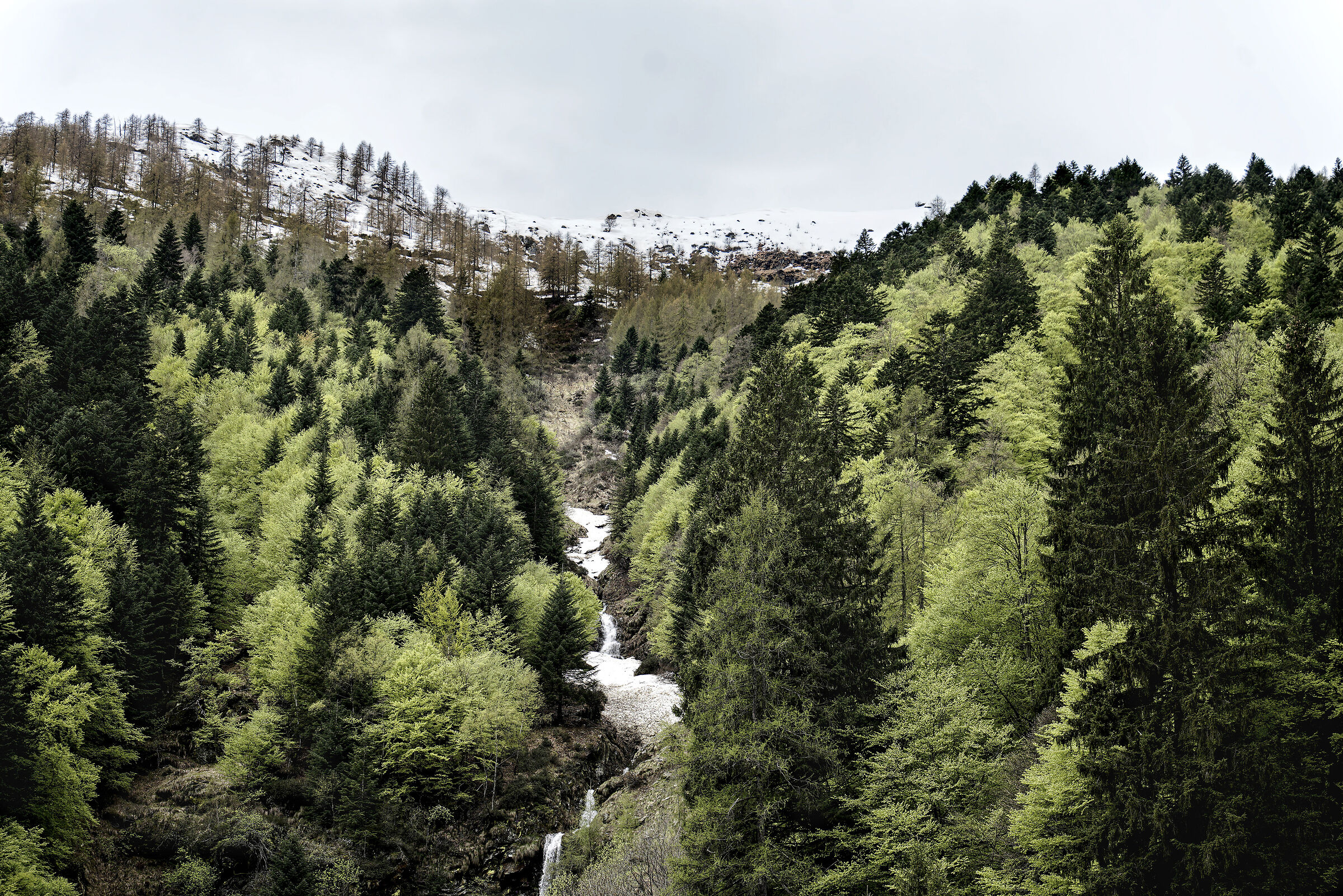 May in Val Sermenza