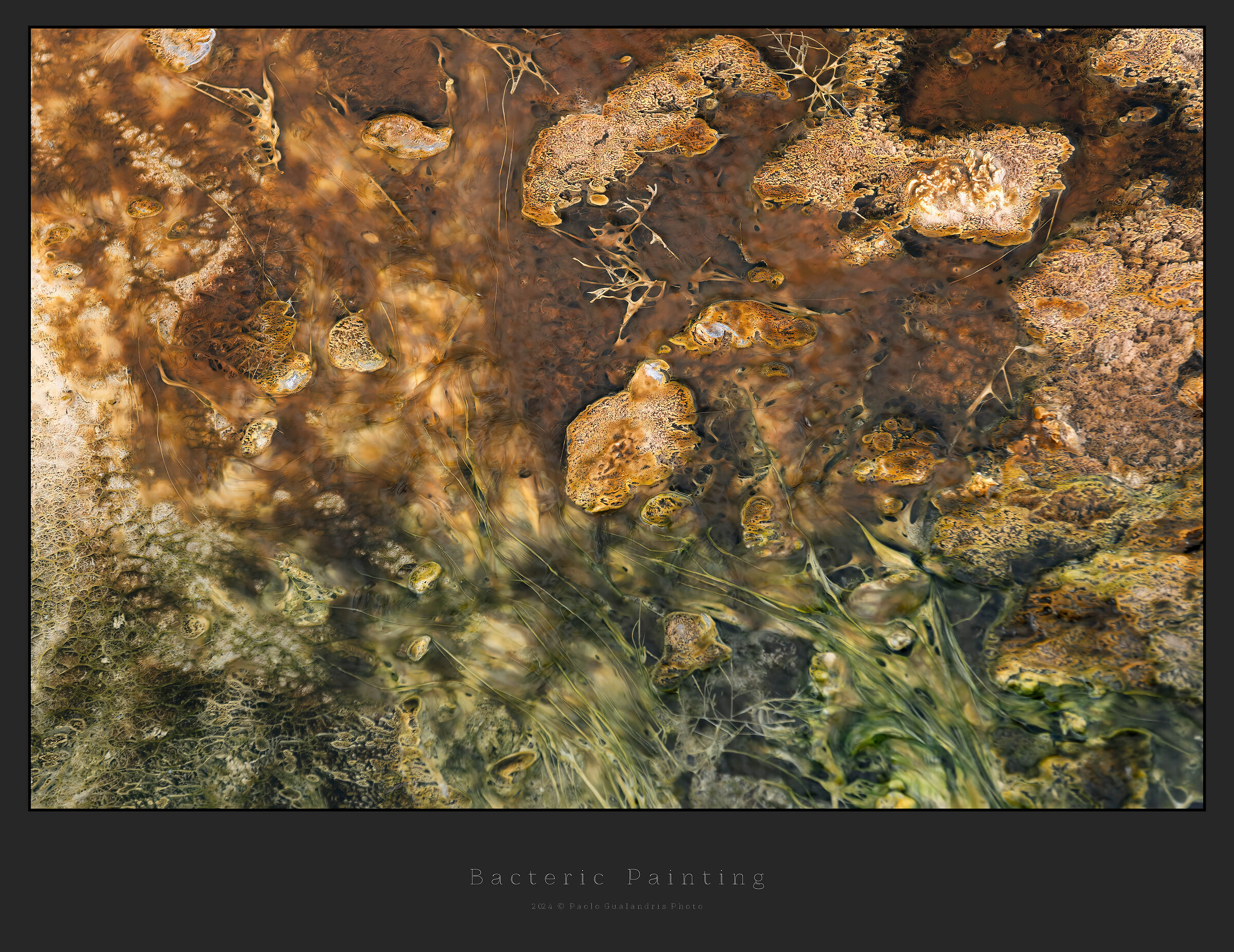 Bacteric Painting