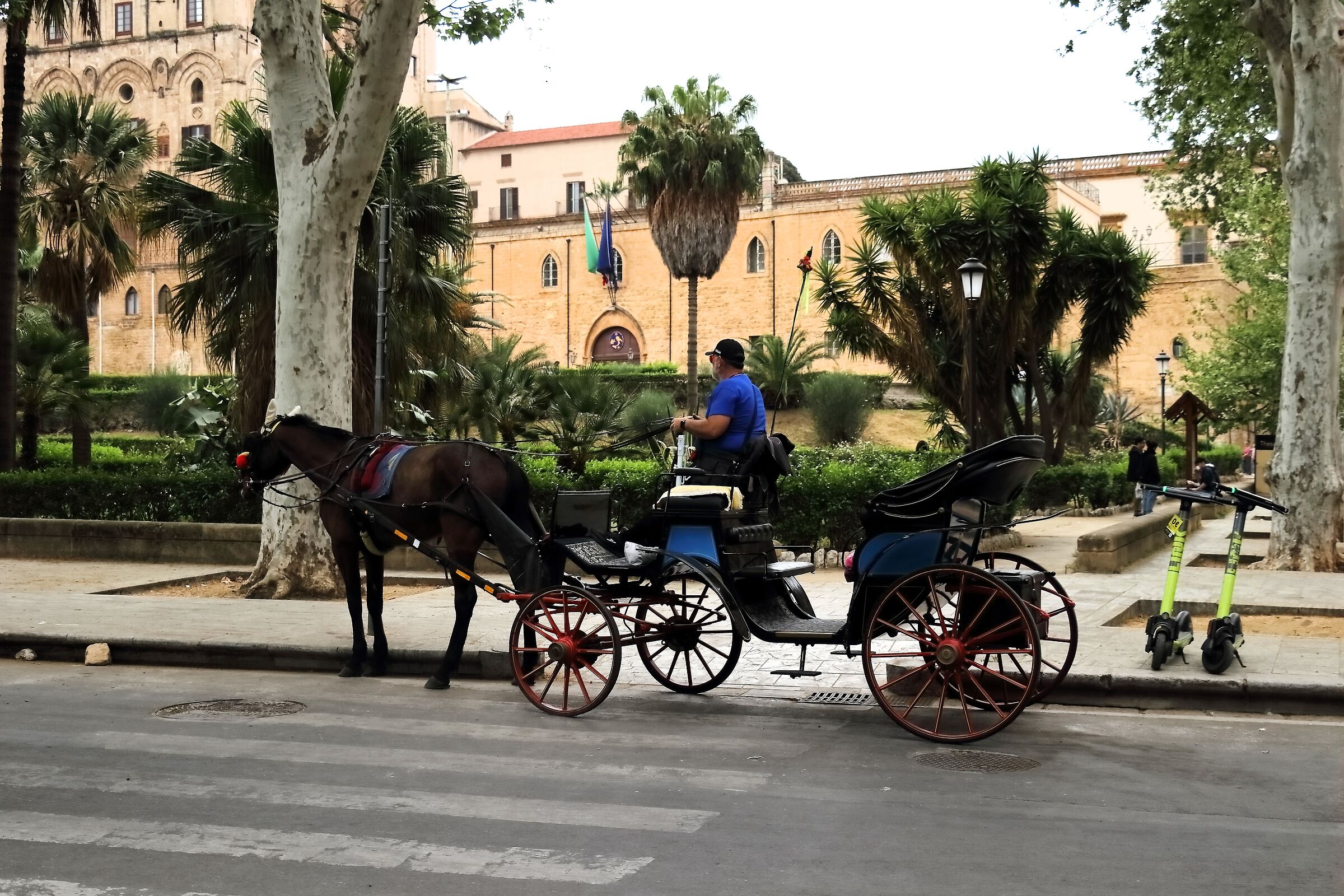 Palermo 16-04-2024 - 0327