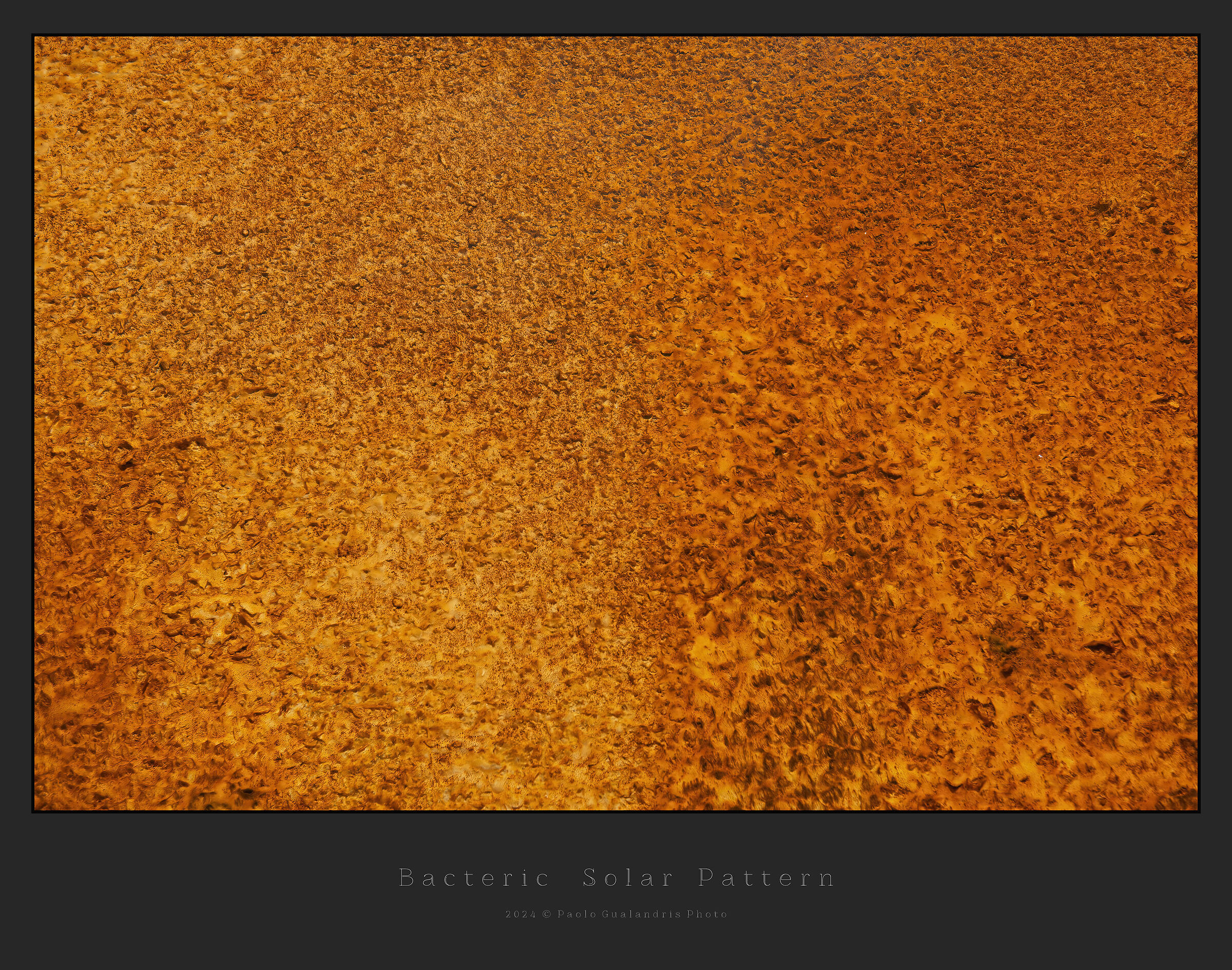Bacteric Solar Pattern