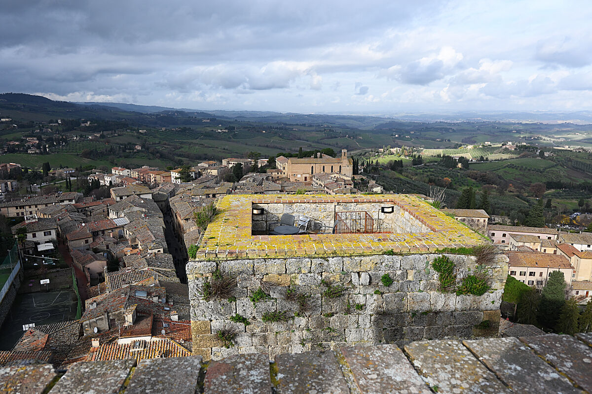 Dalla Torre