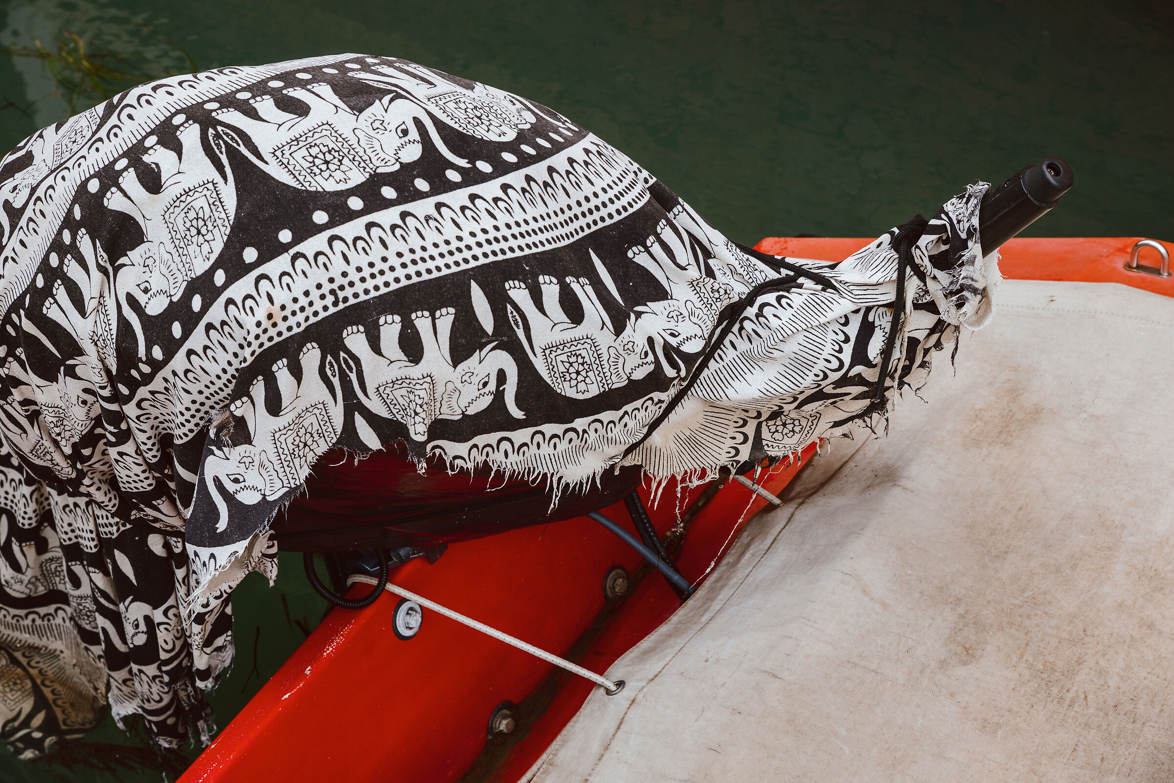 Elephants everywhere