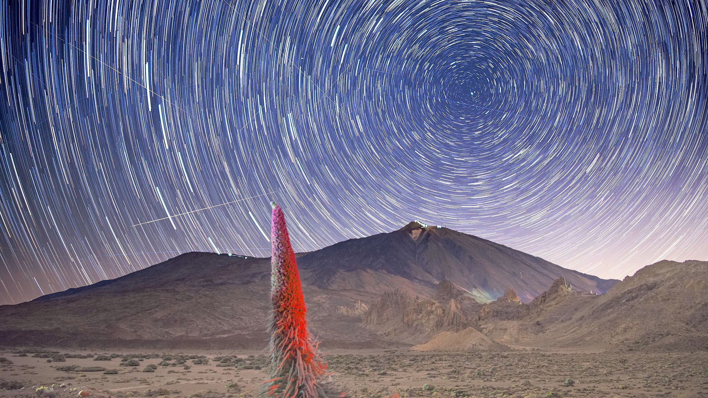 Scie Stellari, Teide, Tajinaste e meteore Eta-Aquaridi