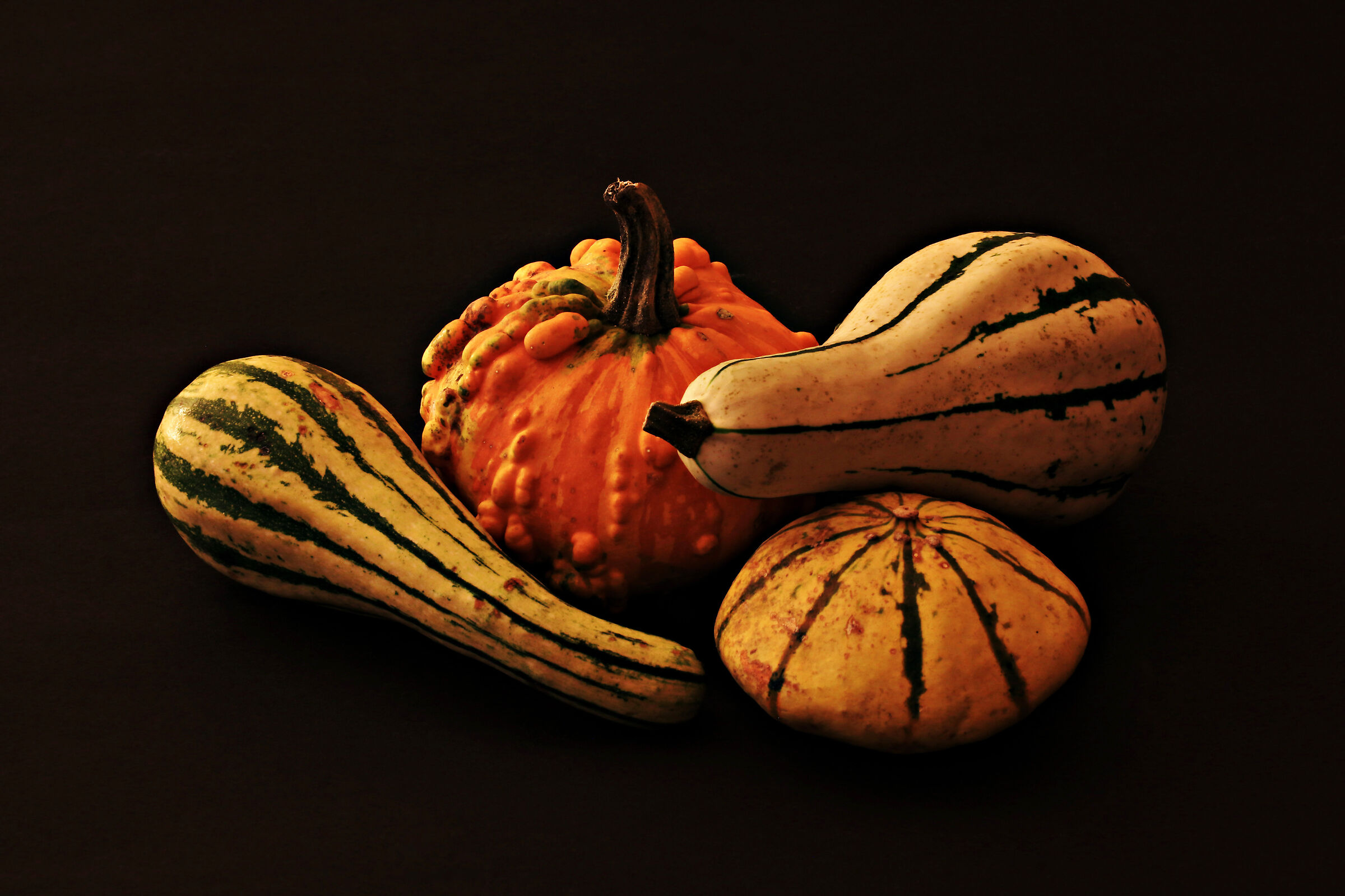 Pumpkins 2