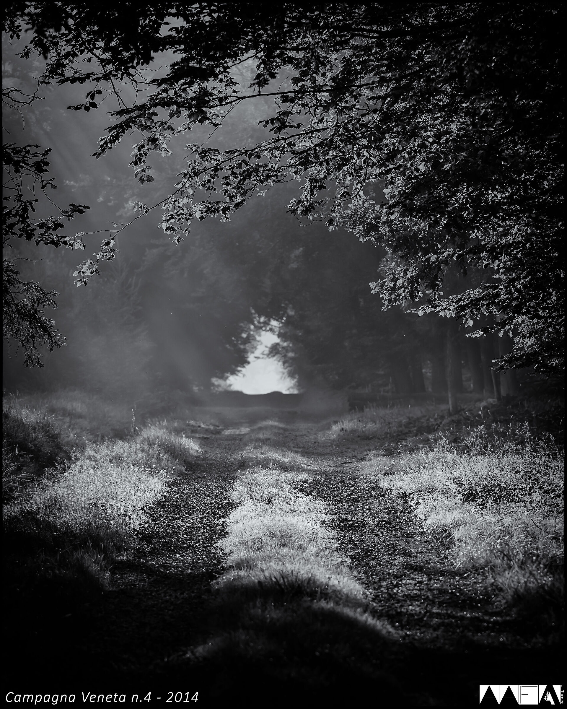 Campagna Veneta n.4-2014
