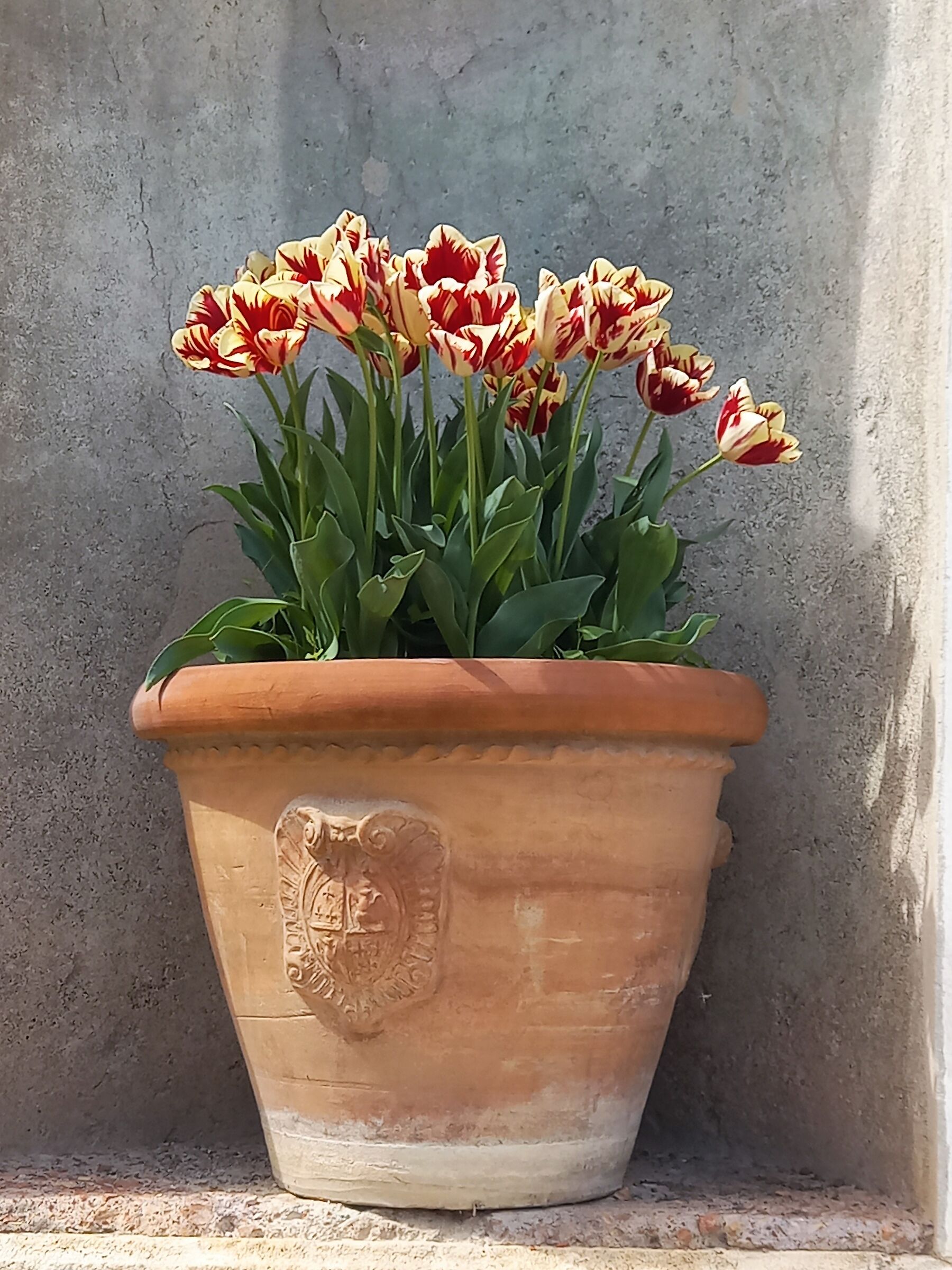 Antique Vase