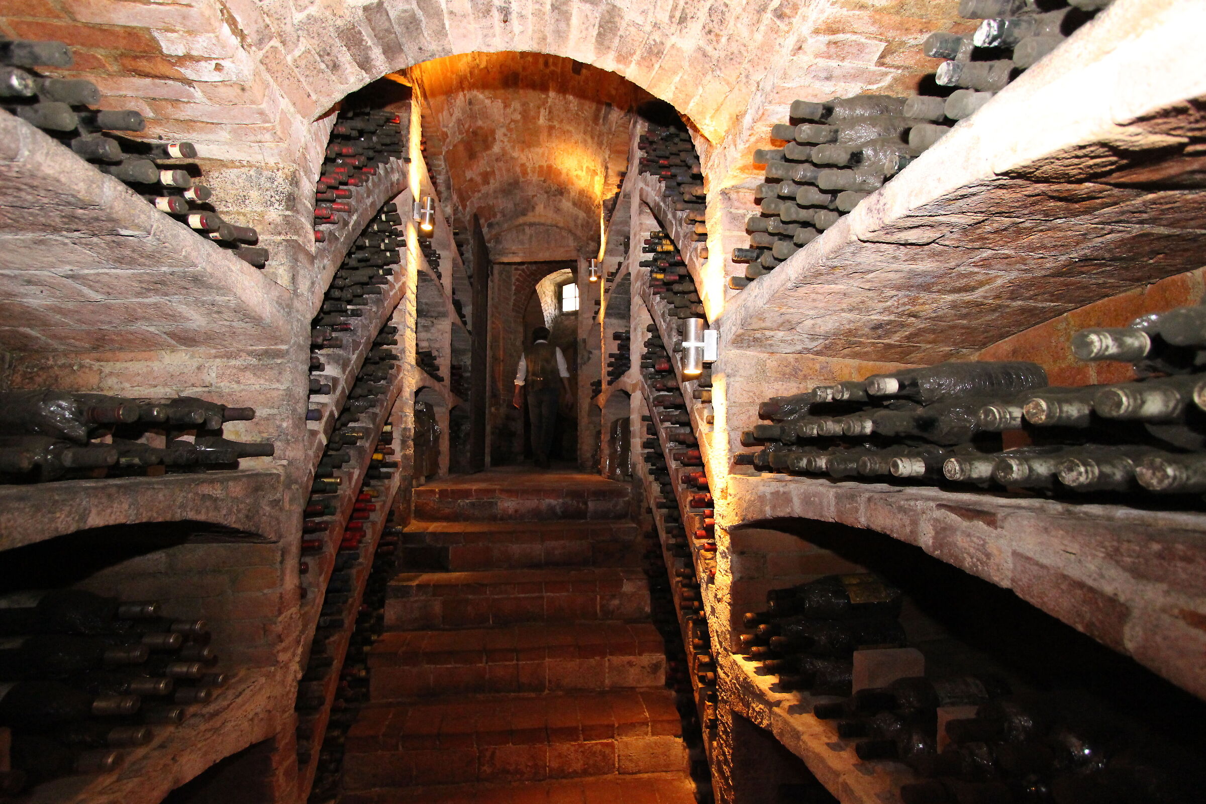 In the cellar - the bottles