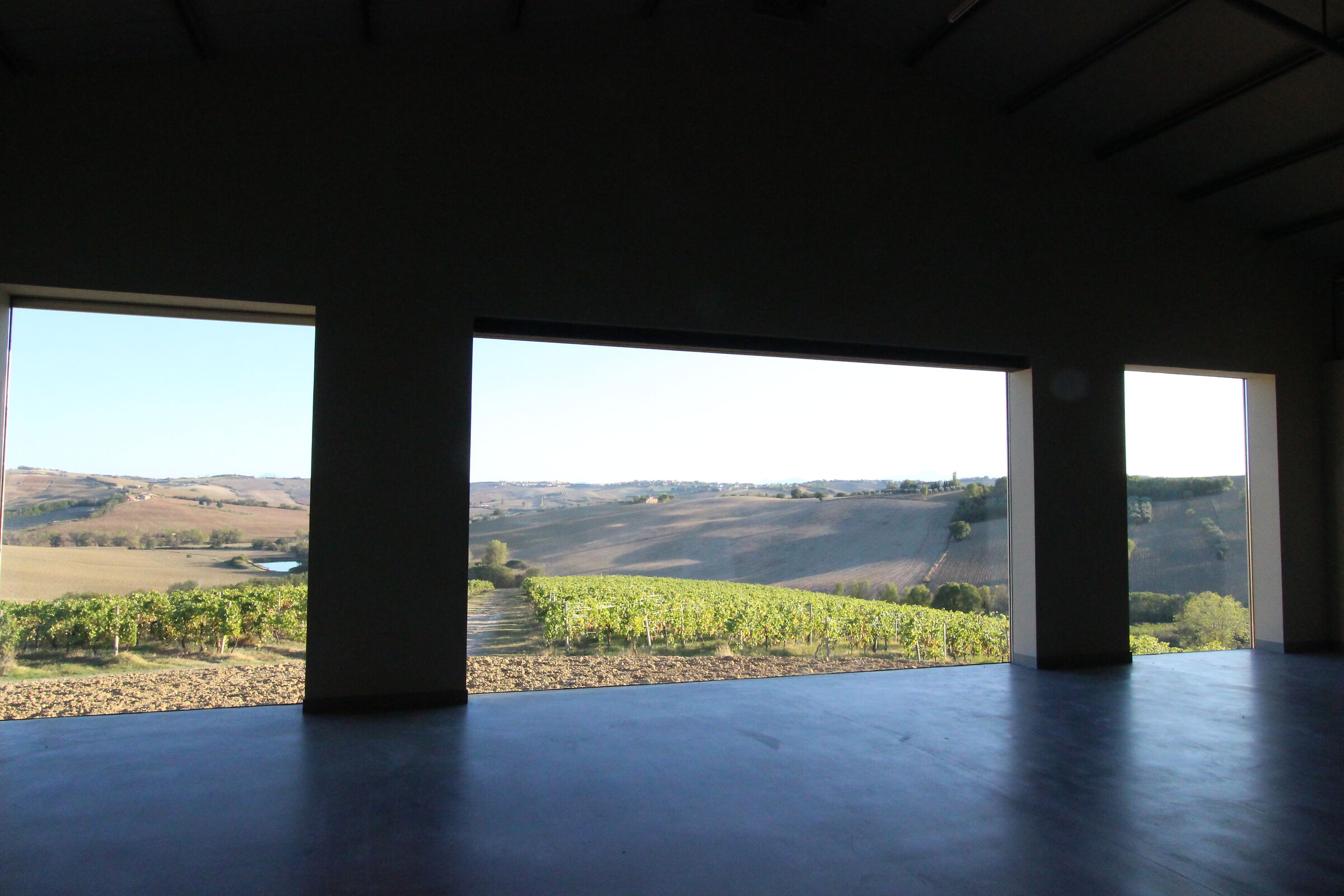 la vista sui colli pesaresi