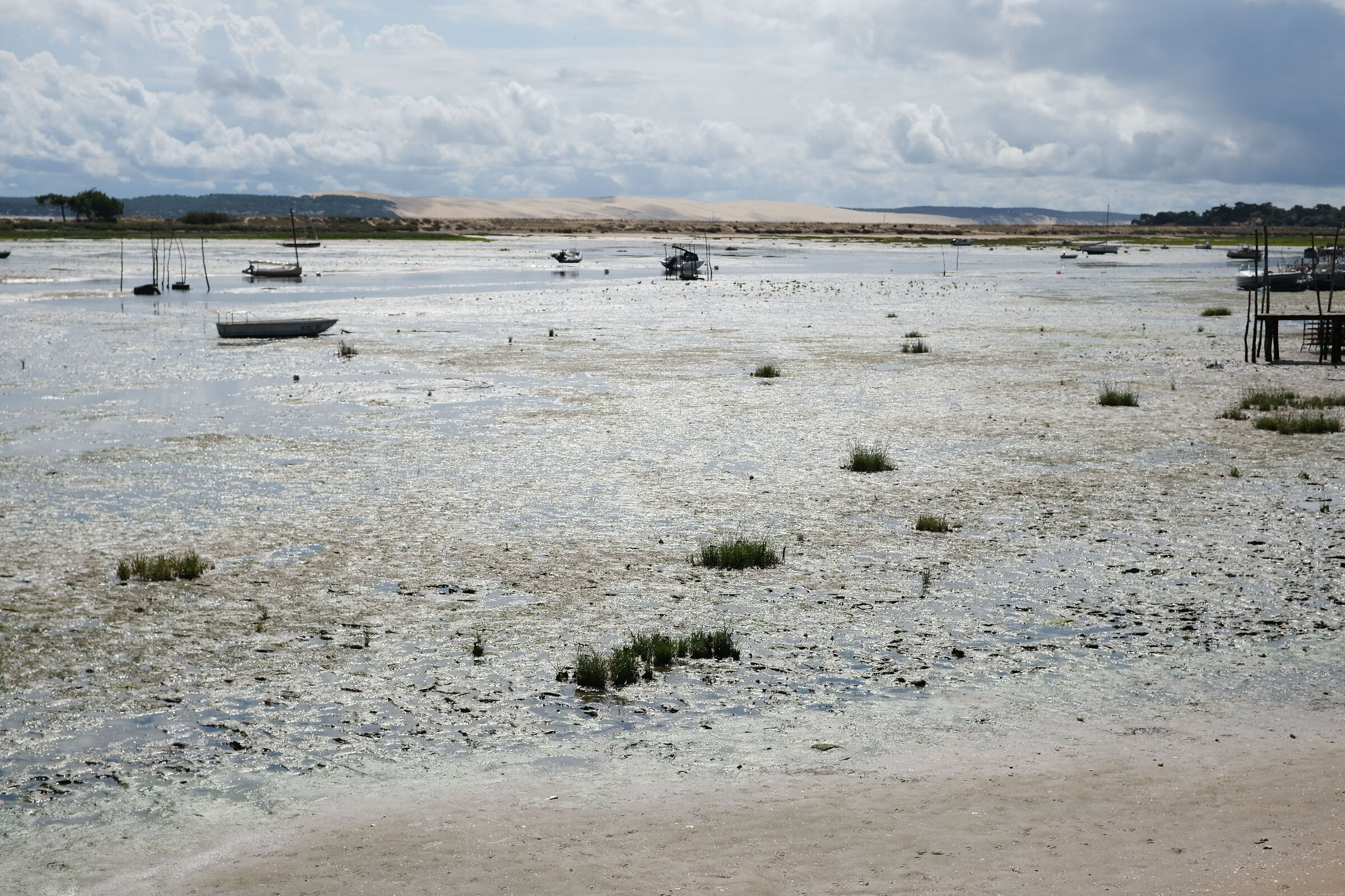 bassa marea a Cap Ferret verso la duna di Pilat