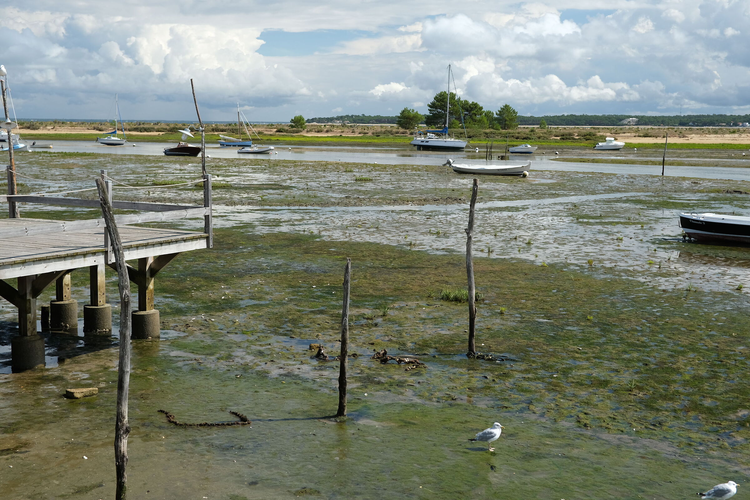 bassa marea a Cap Ferret verso Arcachon