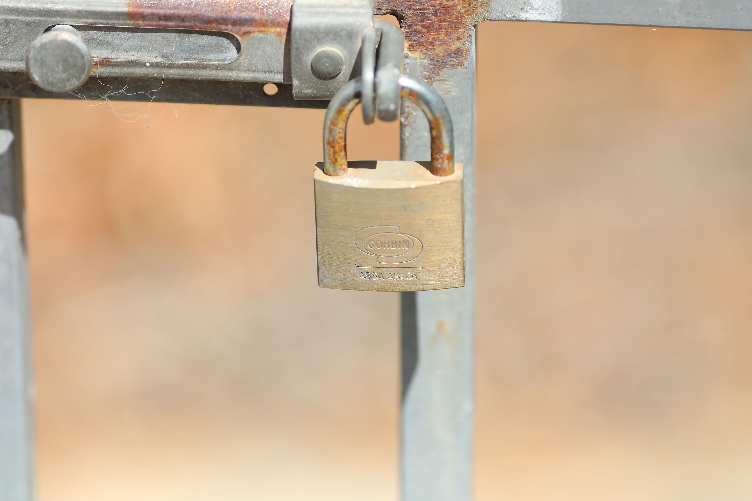 " Crop 189 " Canon 5 D IV, 135 F. 2 L Usm+ TC 1.4x...