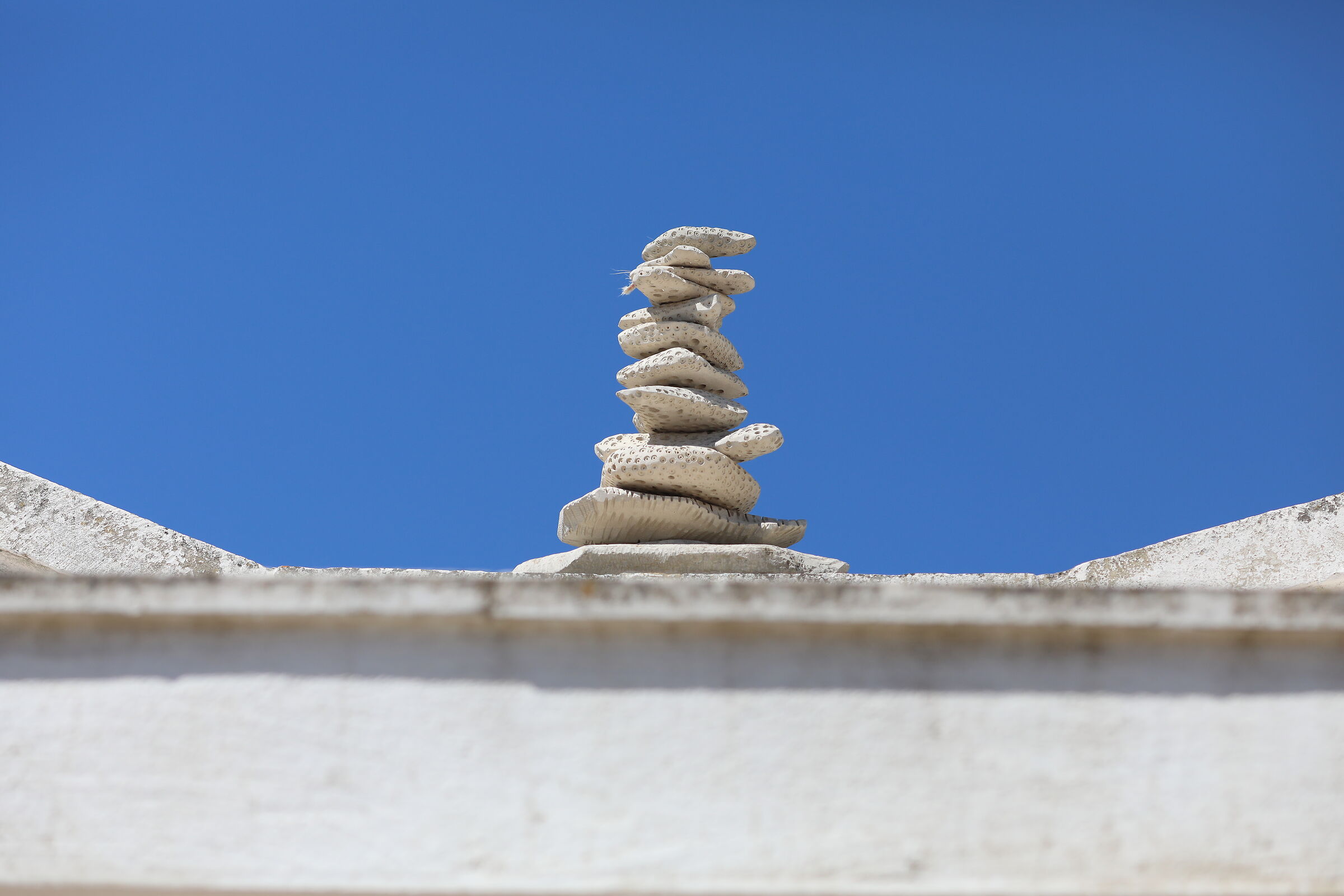 " Crop 189 ", Canon 5 D IV, 135 F. 2 L usm+ TC 1.4...