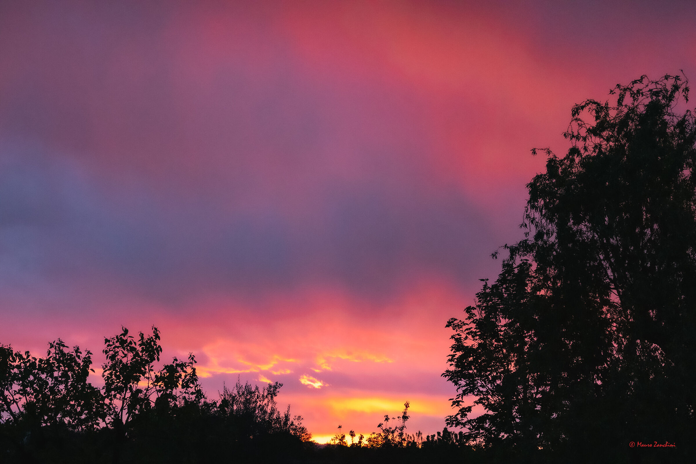 Untitled Photo