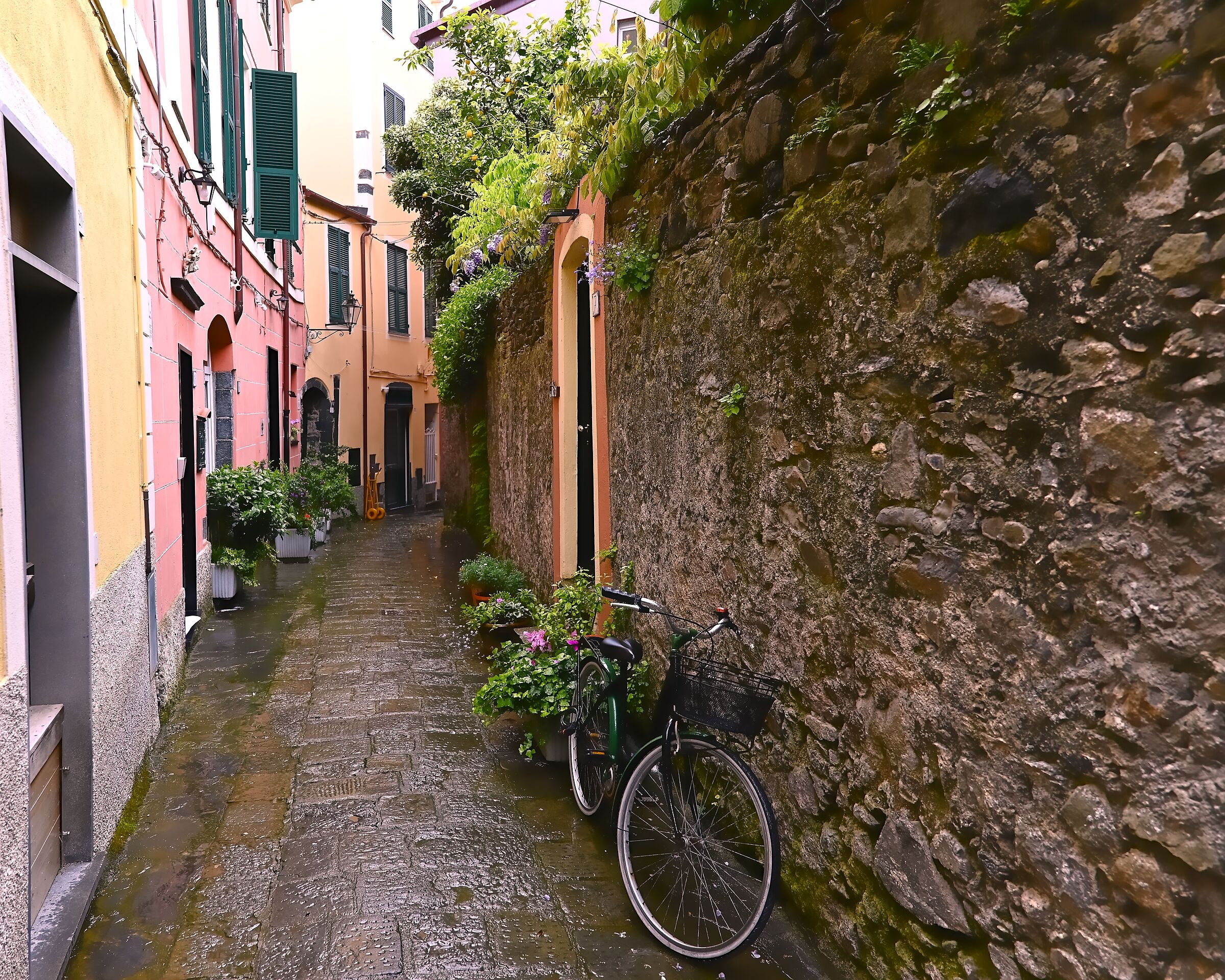 bicicletta