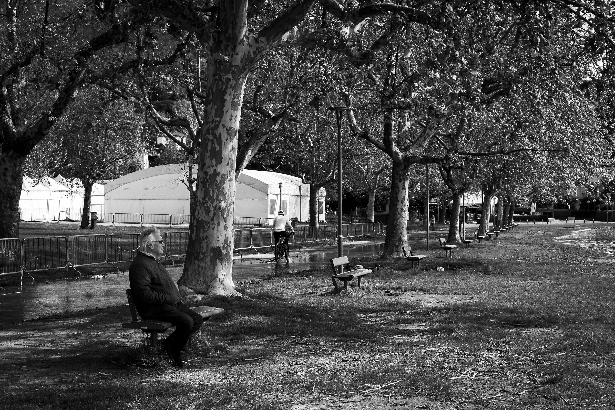 Solitudine