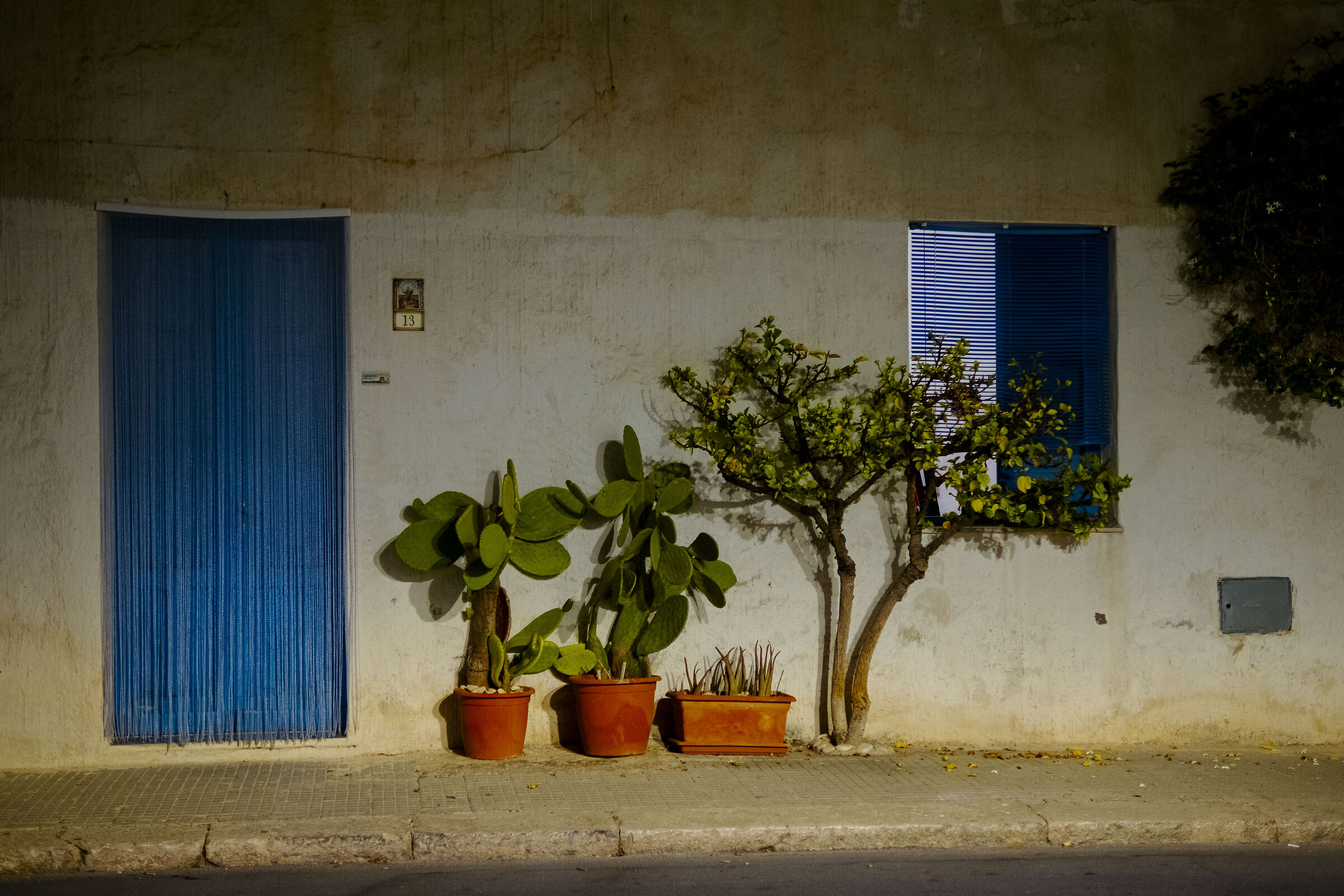Dettagli - San Vito lo Capo