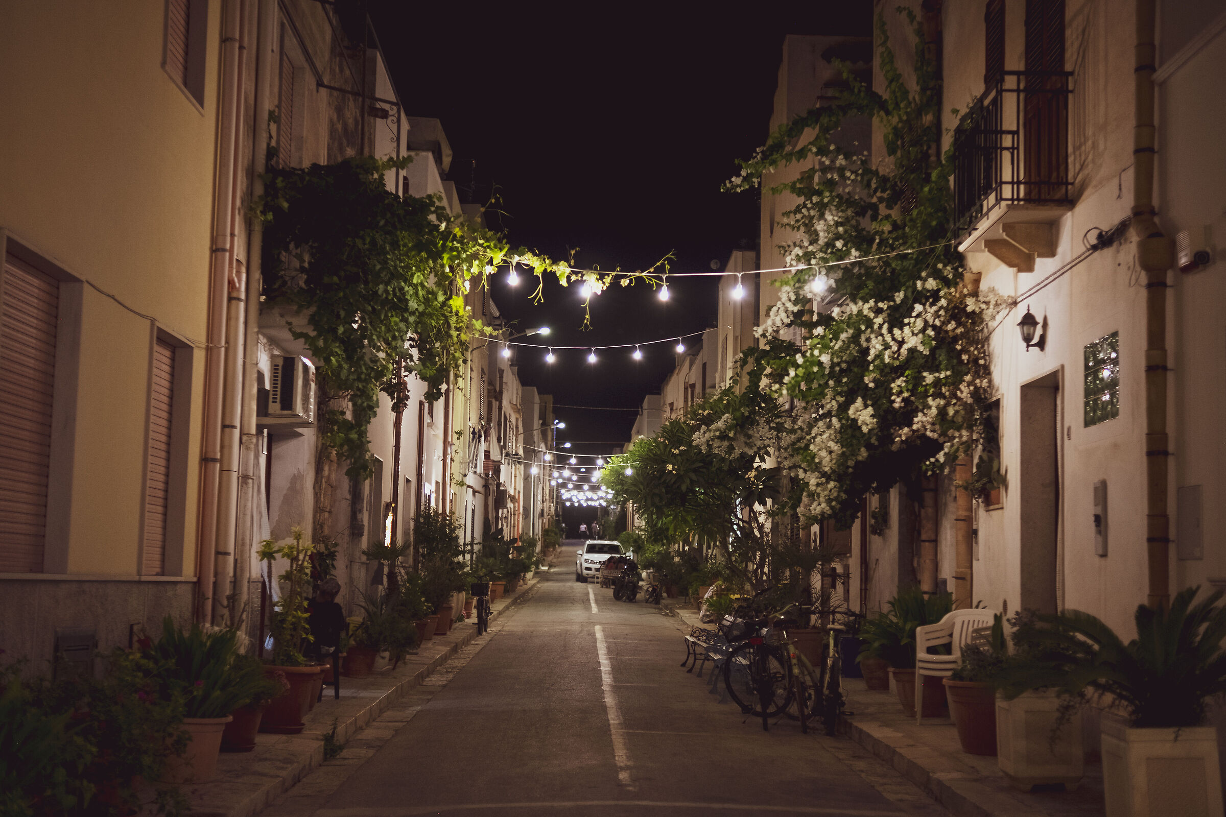 Dettagli - San Vito lo Capo