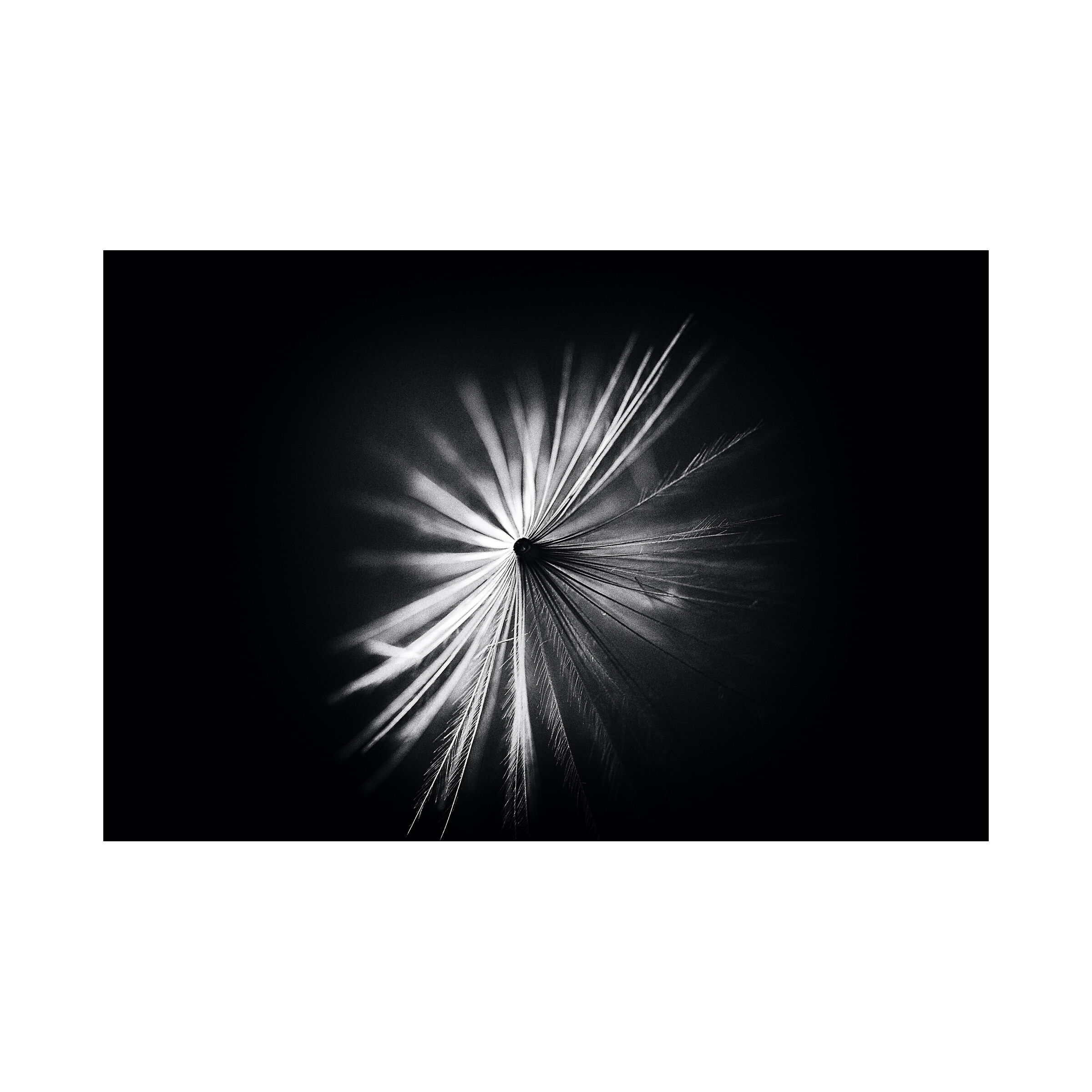 La Vita è un lieve soffio