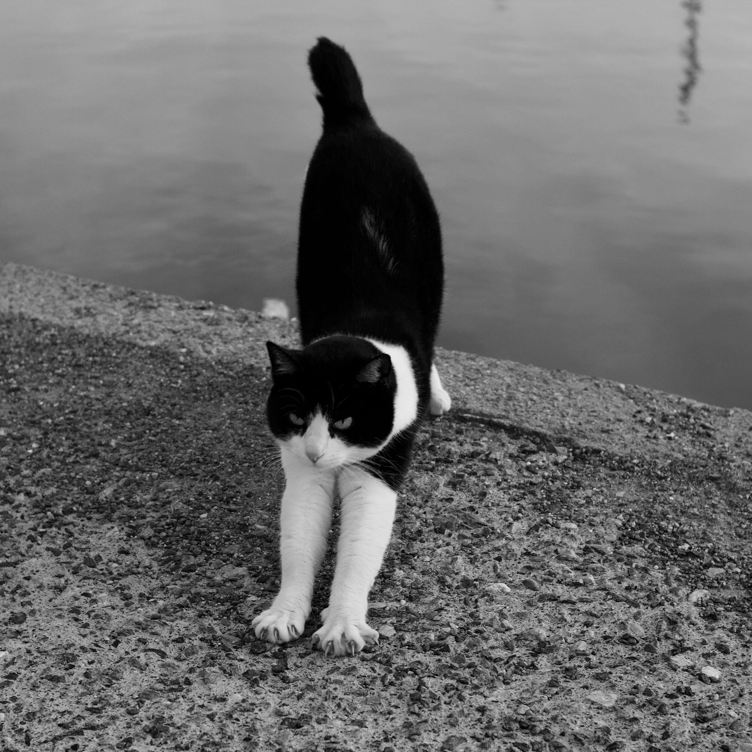 Untitled Photo