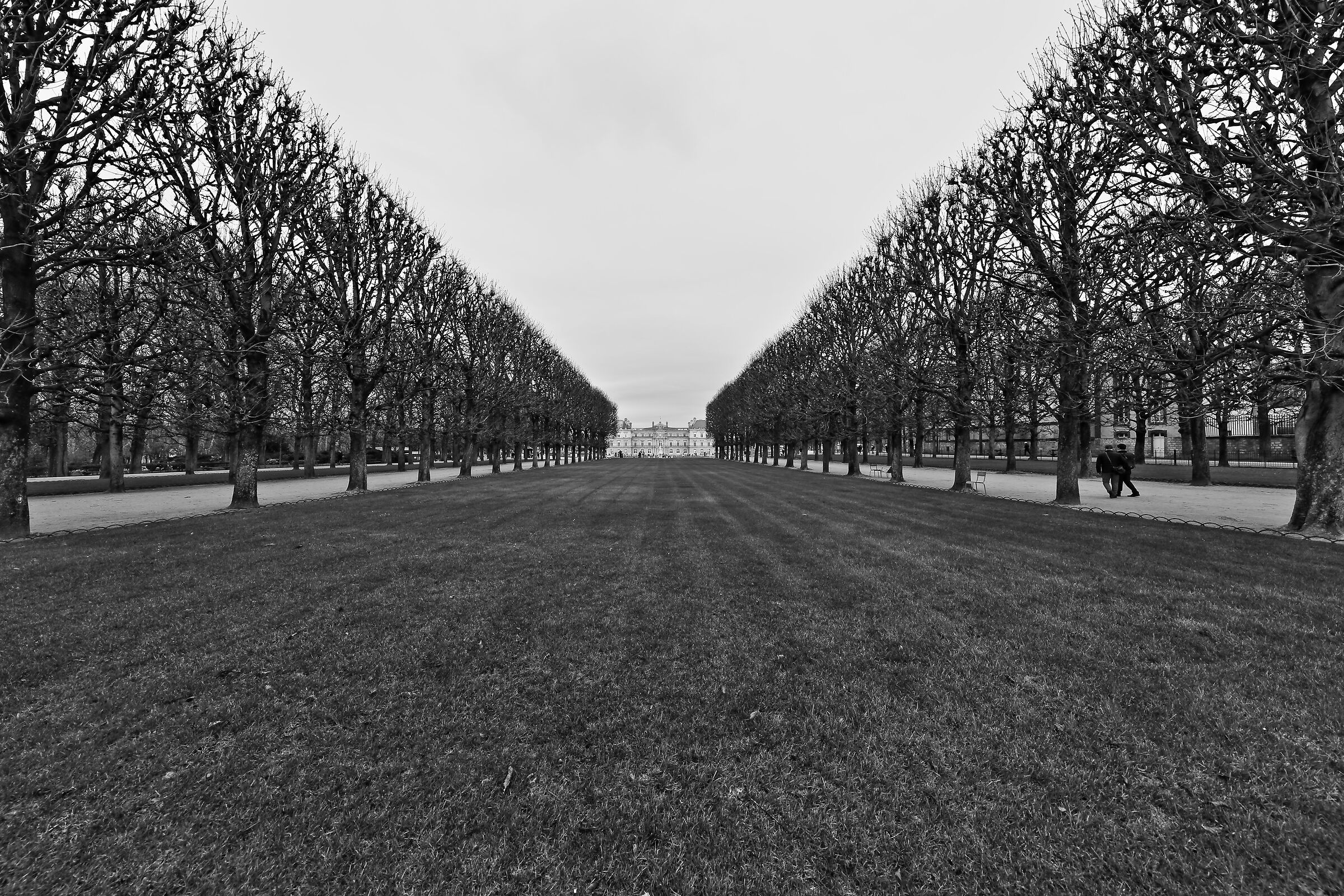 I giardini del Lussemburgo 1