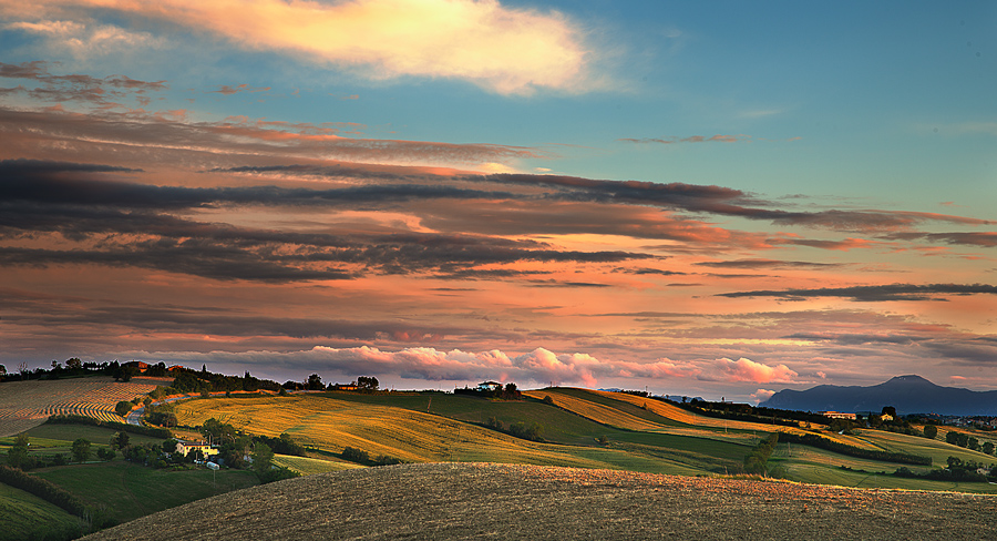 Pastel shades of the Marche hills
