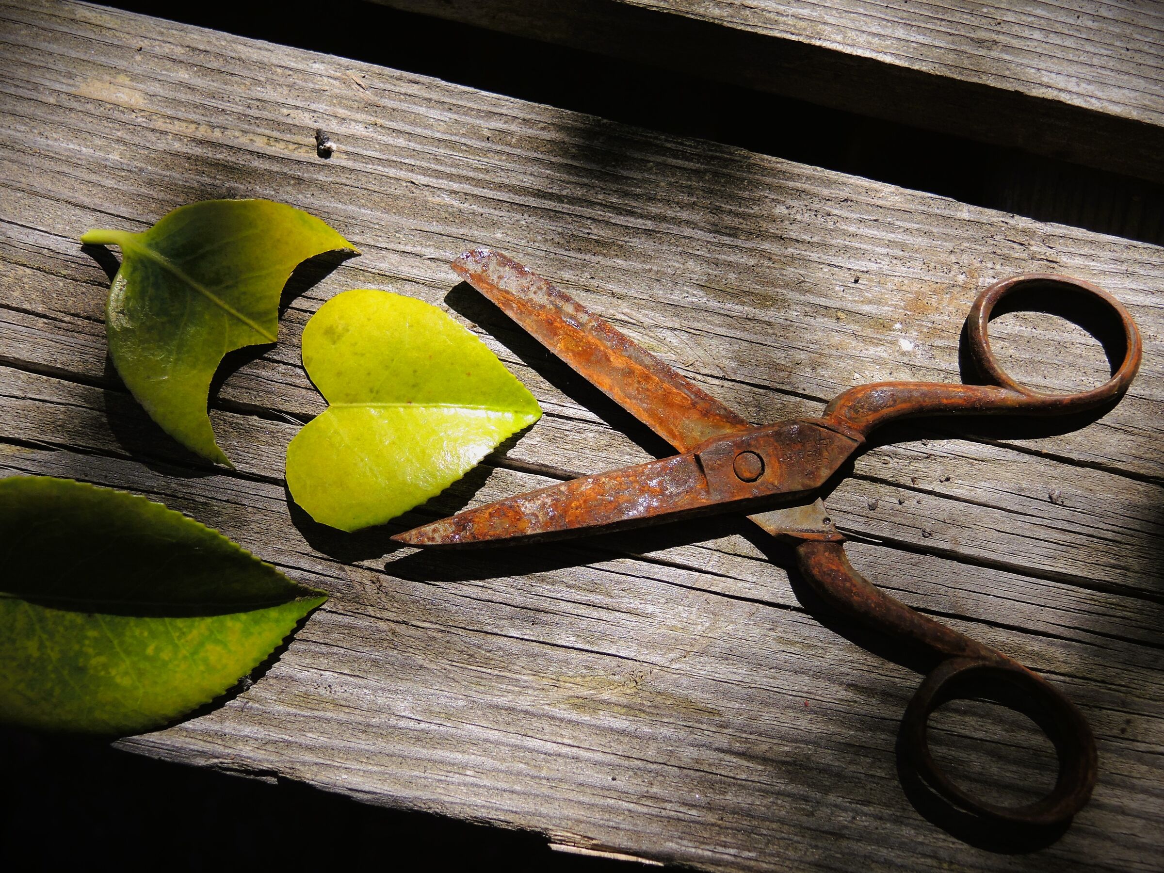 solo un ritaglio....