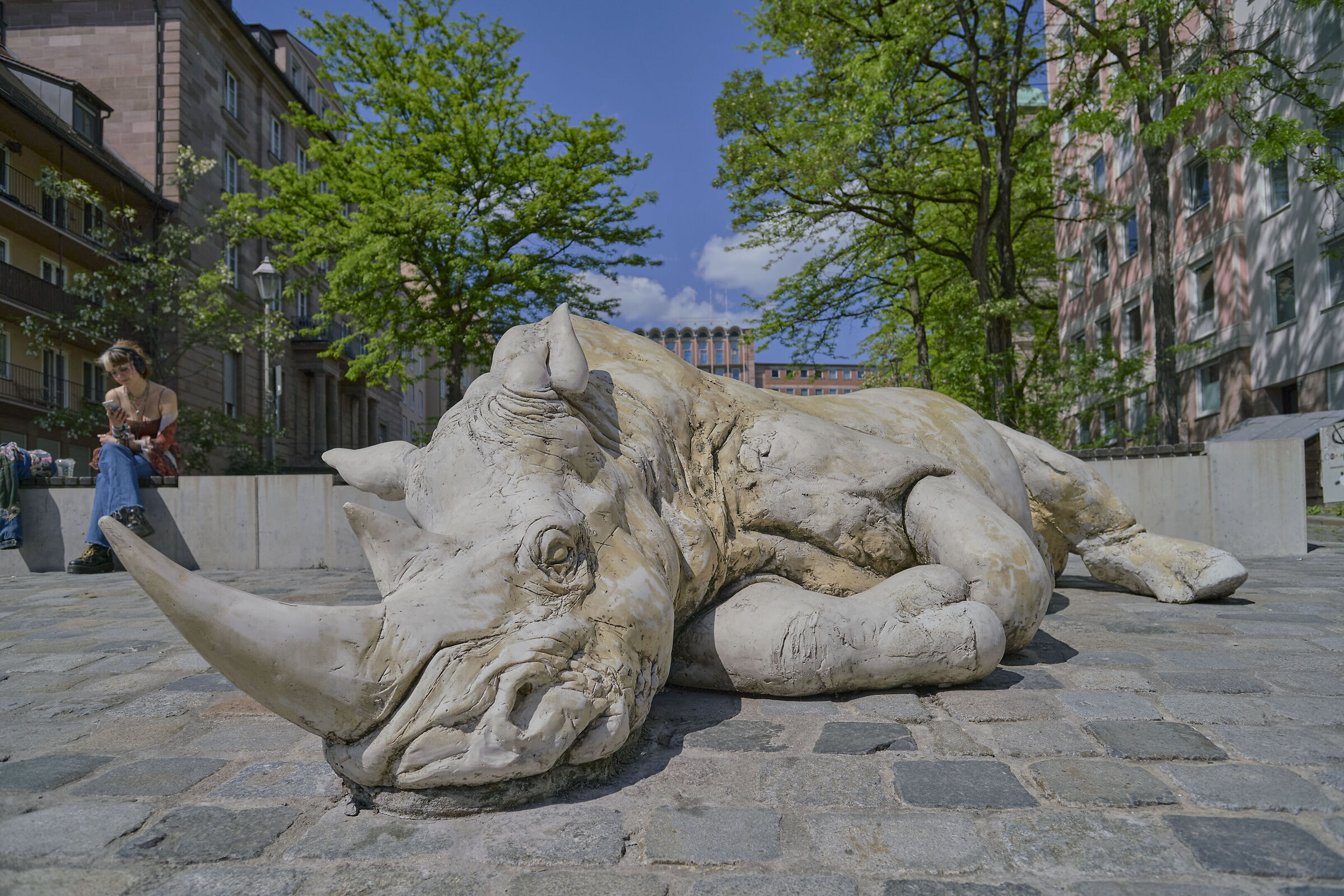 Il rinoceronte di Egidienberg