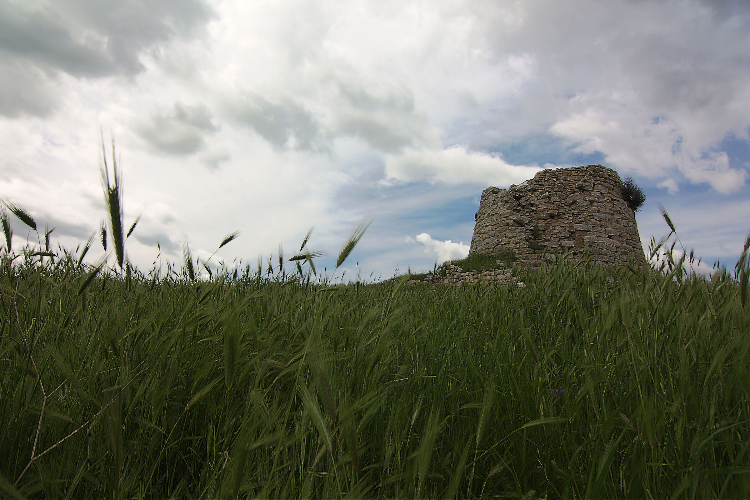 Nuraghe "Is Paras" Isili
