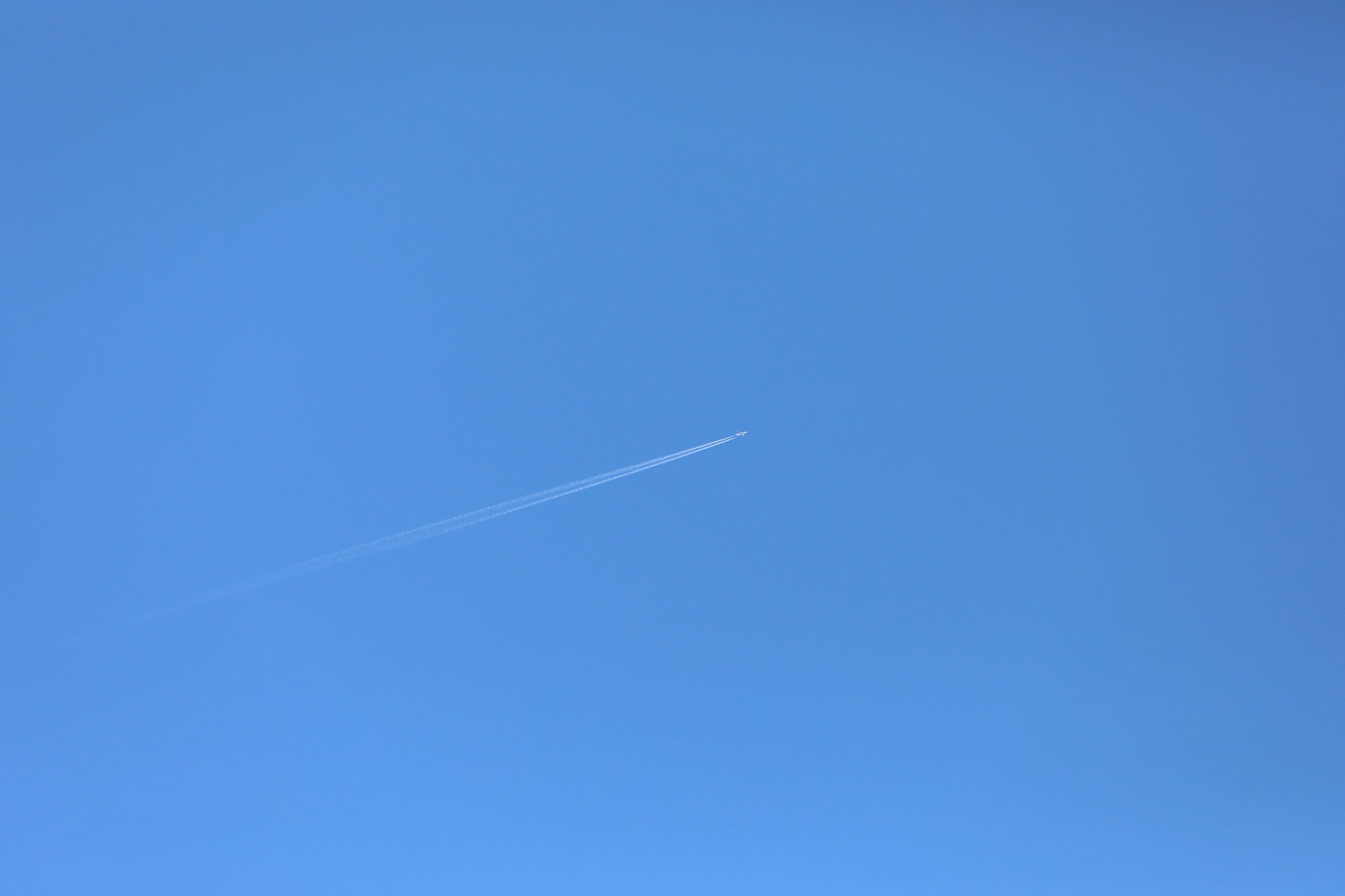 " Crop 189 " Canon 5 D IV, 135 F. 2 L Usm + TC 1.4...