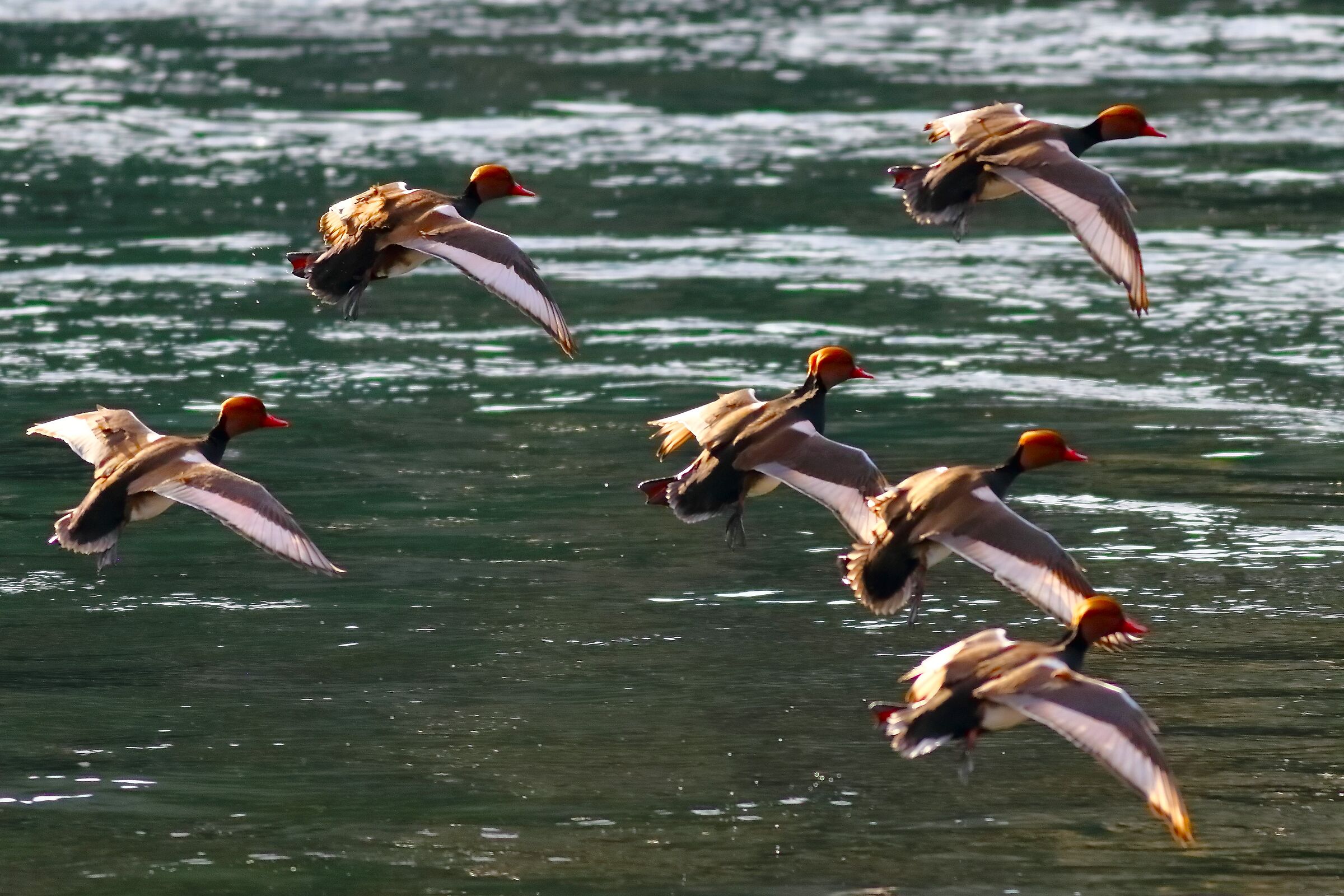 Turkish Fistions M 28 February 2024 - 0083