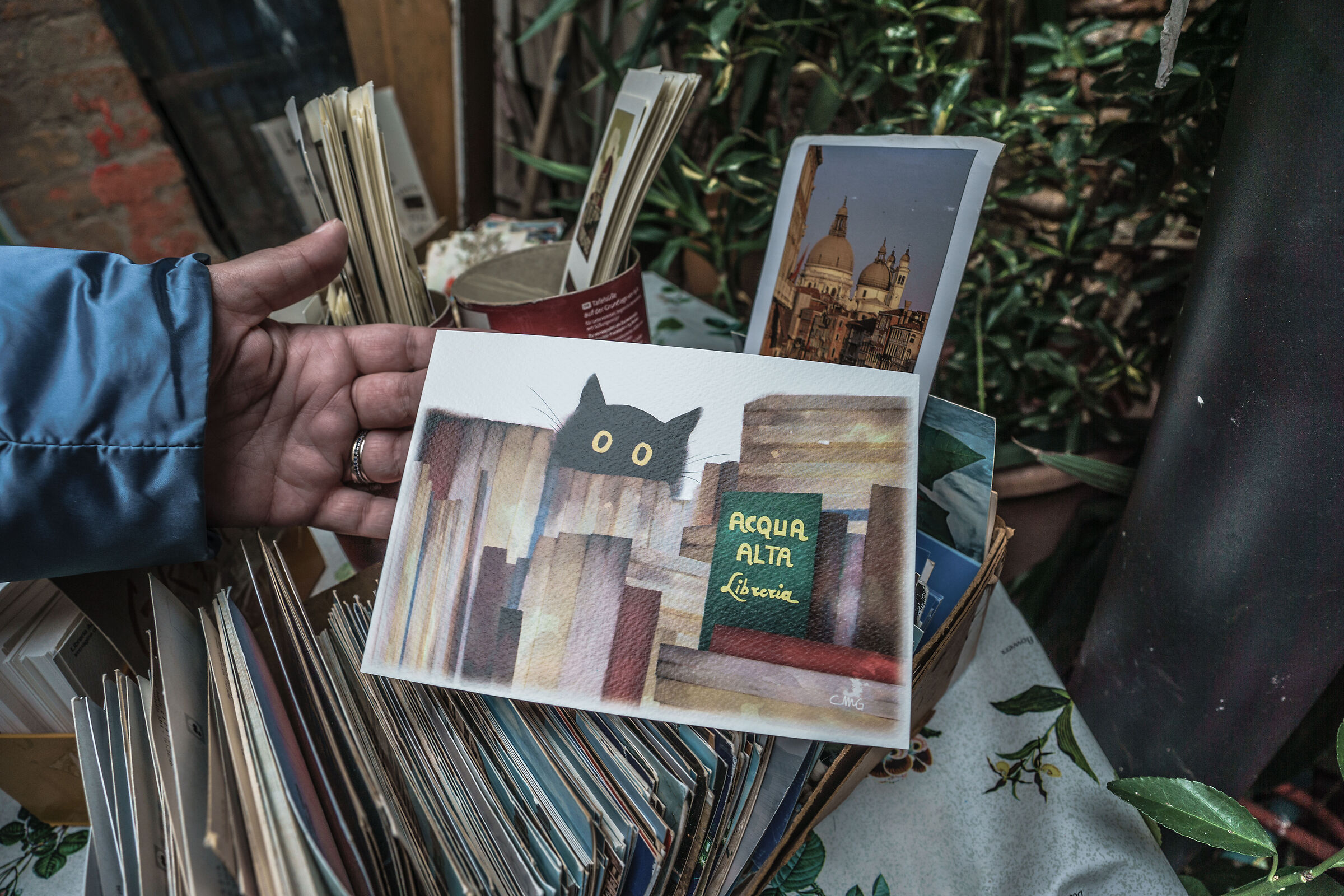 High water in Venice