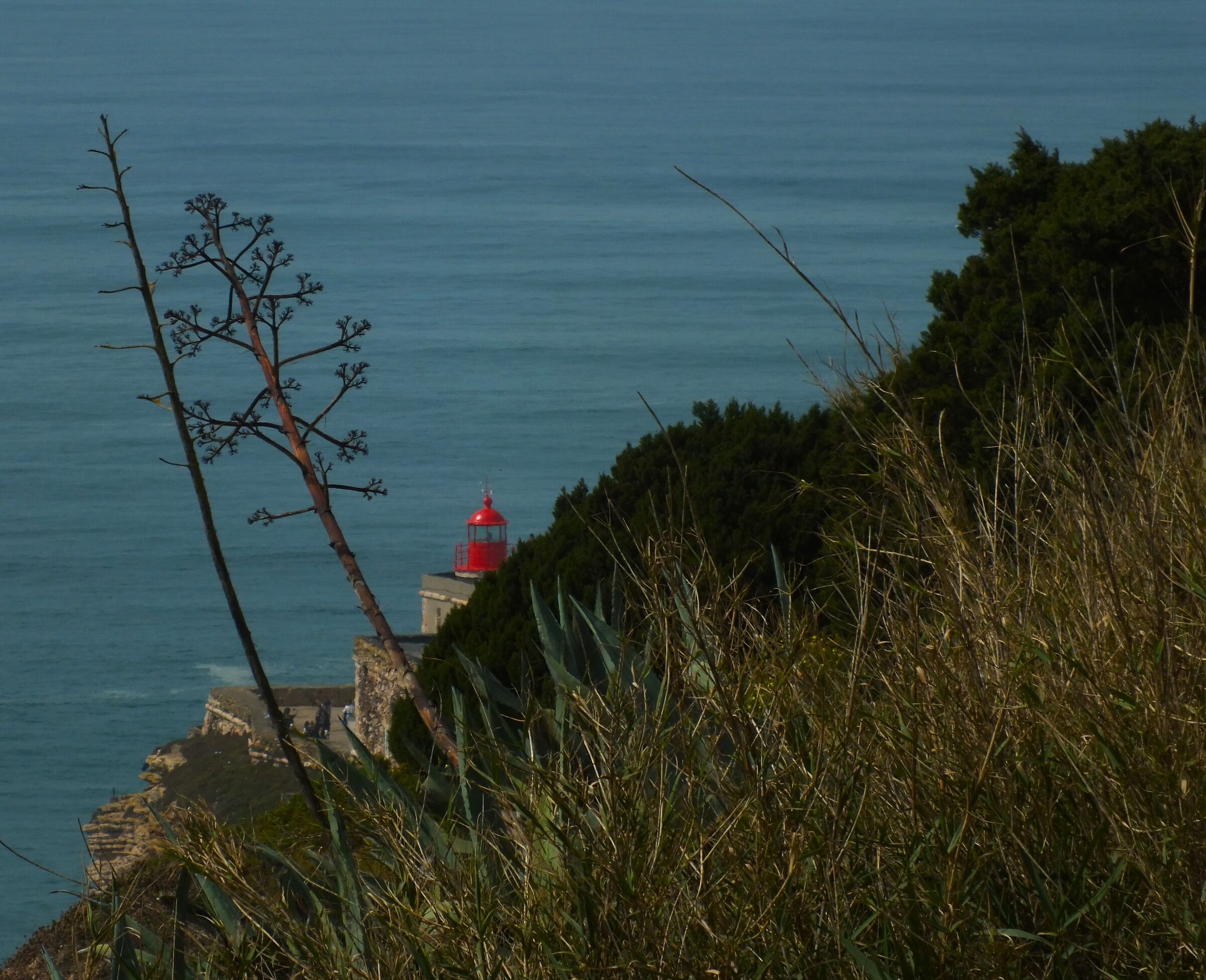 Nazare Lighthouse