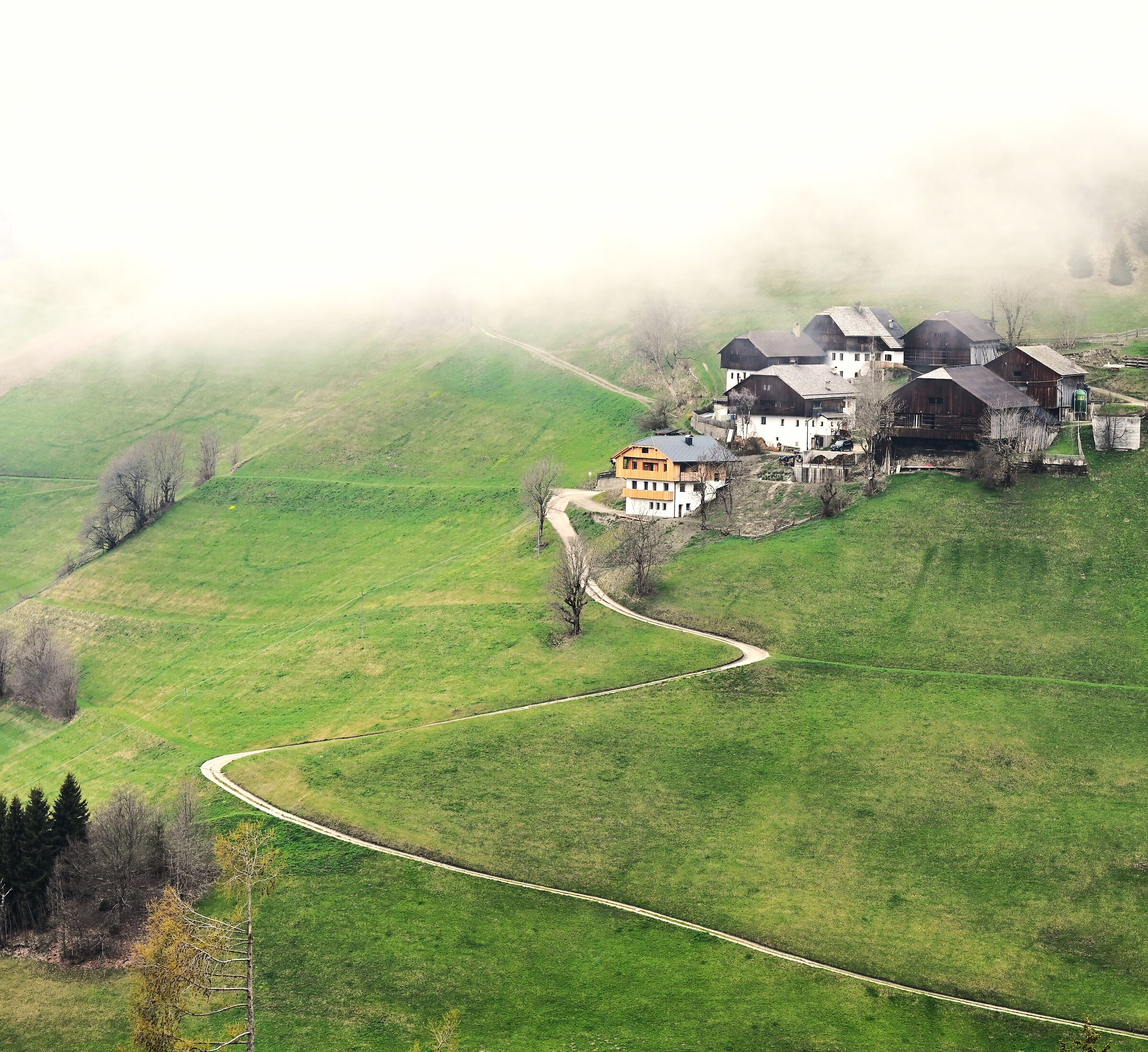 Quando si alza la nebbia in montagna.