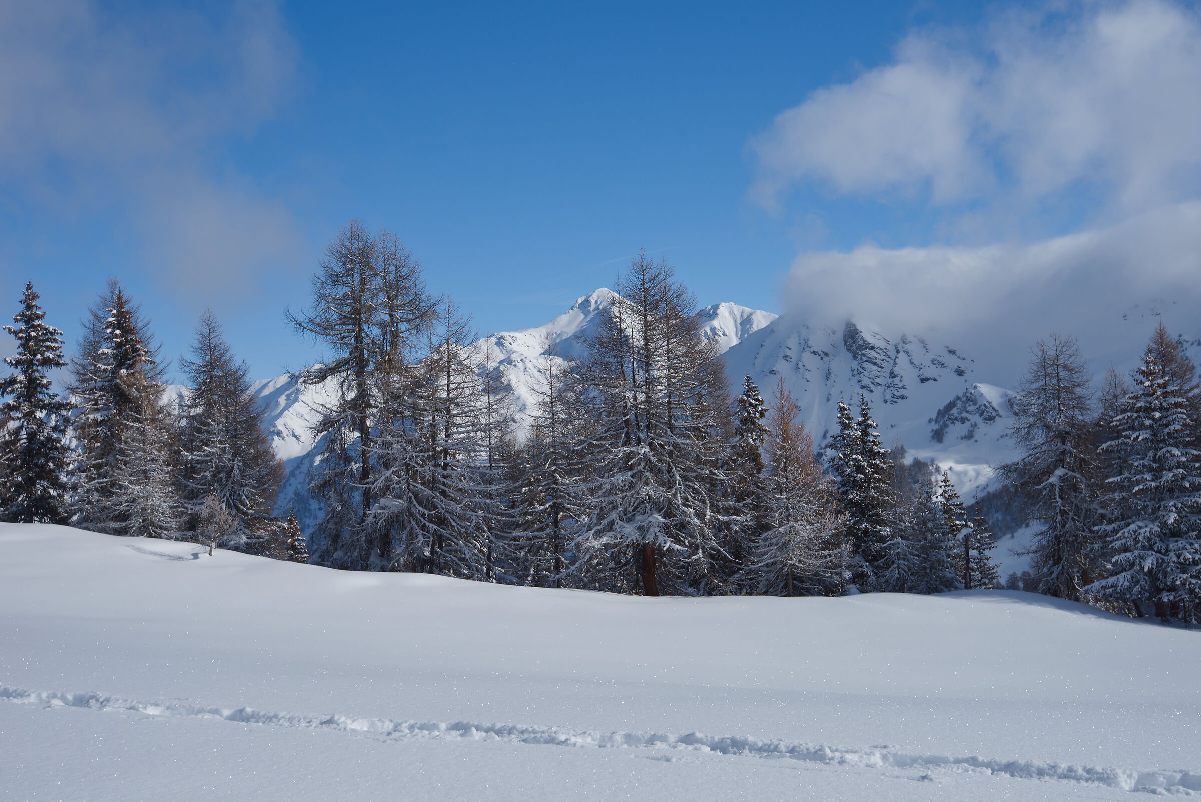 Aosta Valley February 2017