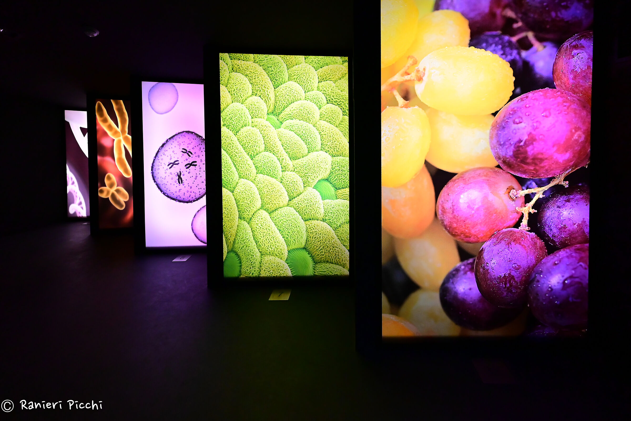 Museo del vino Barolo Italy