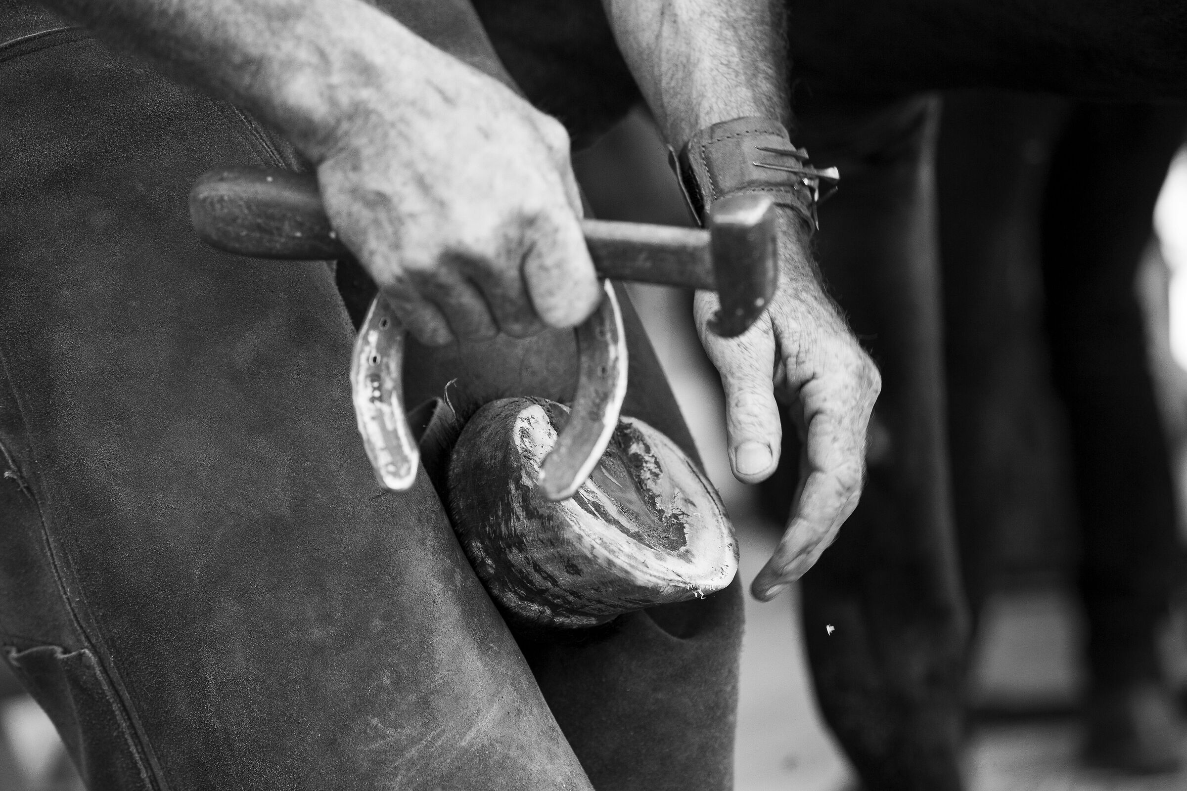 The farrier at work