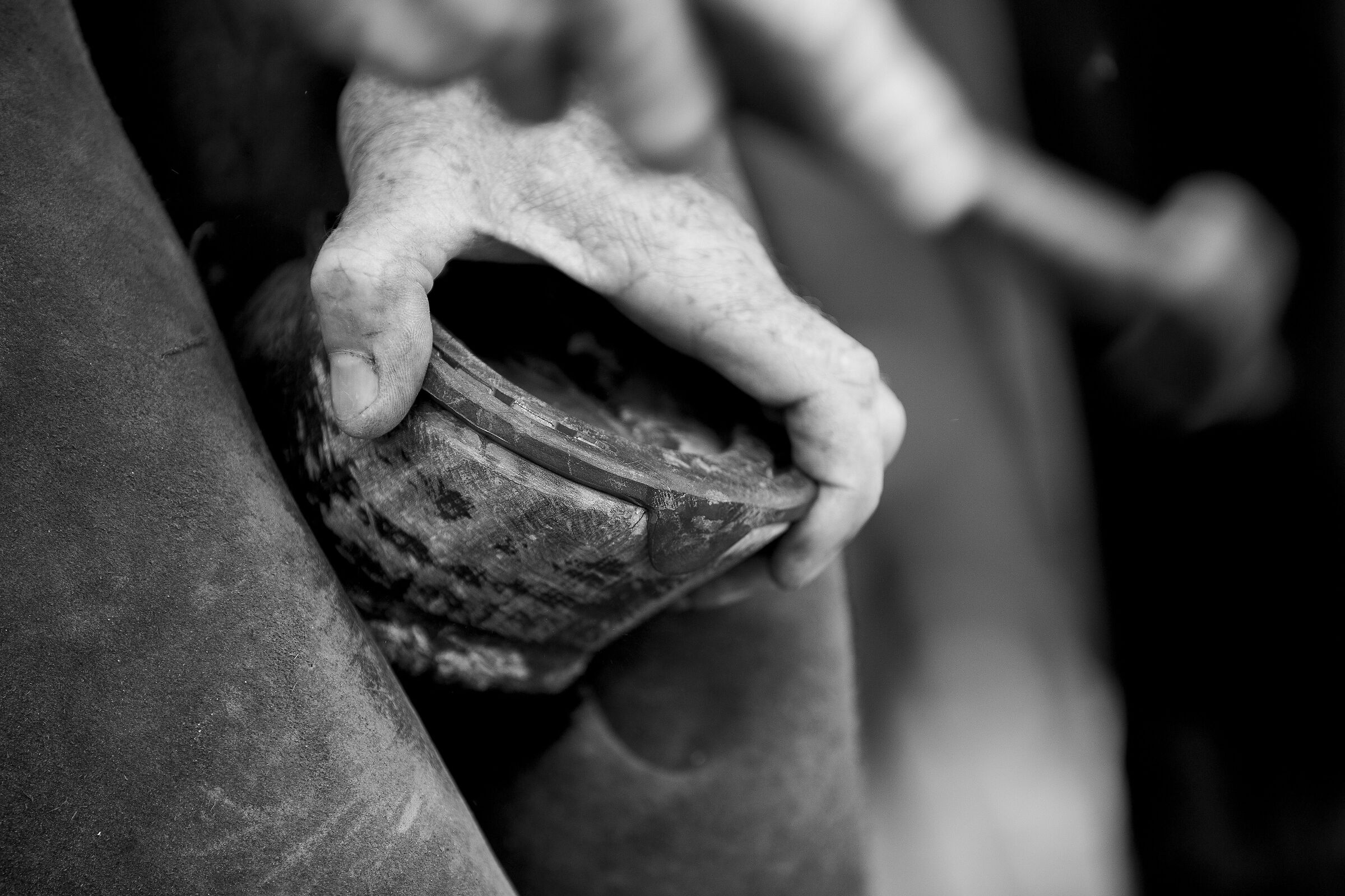 The farrier at work